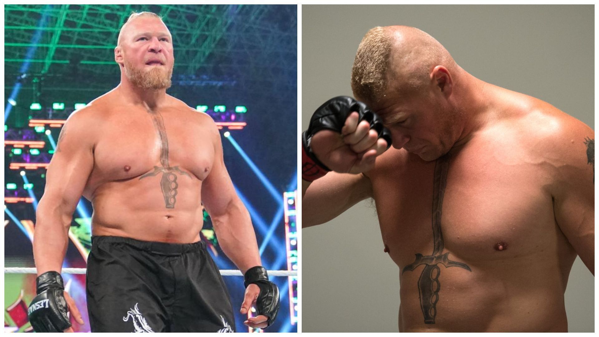 Brock Lesnar is a former WWE World Champion.