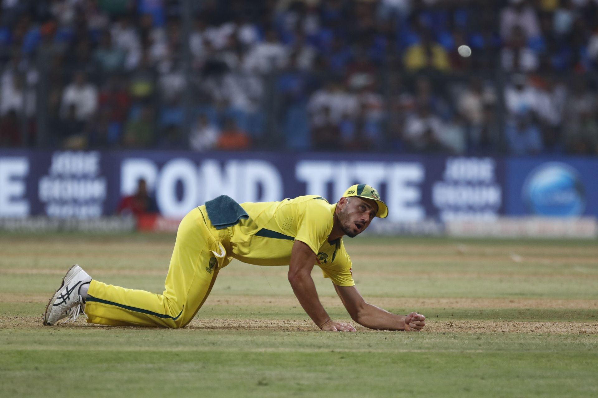 Marcus Stoinis picked up two wickets in the first ODI. (Credits: Getty)