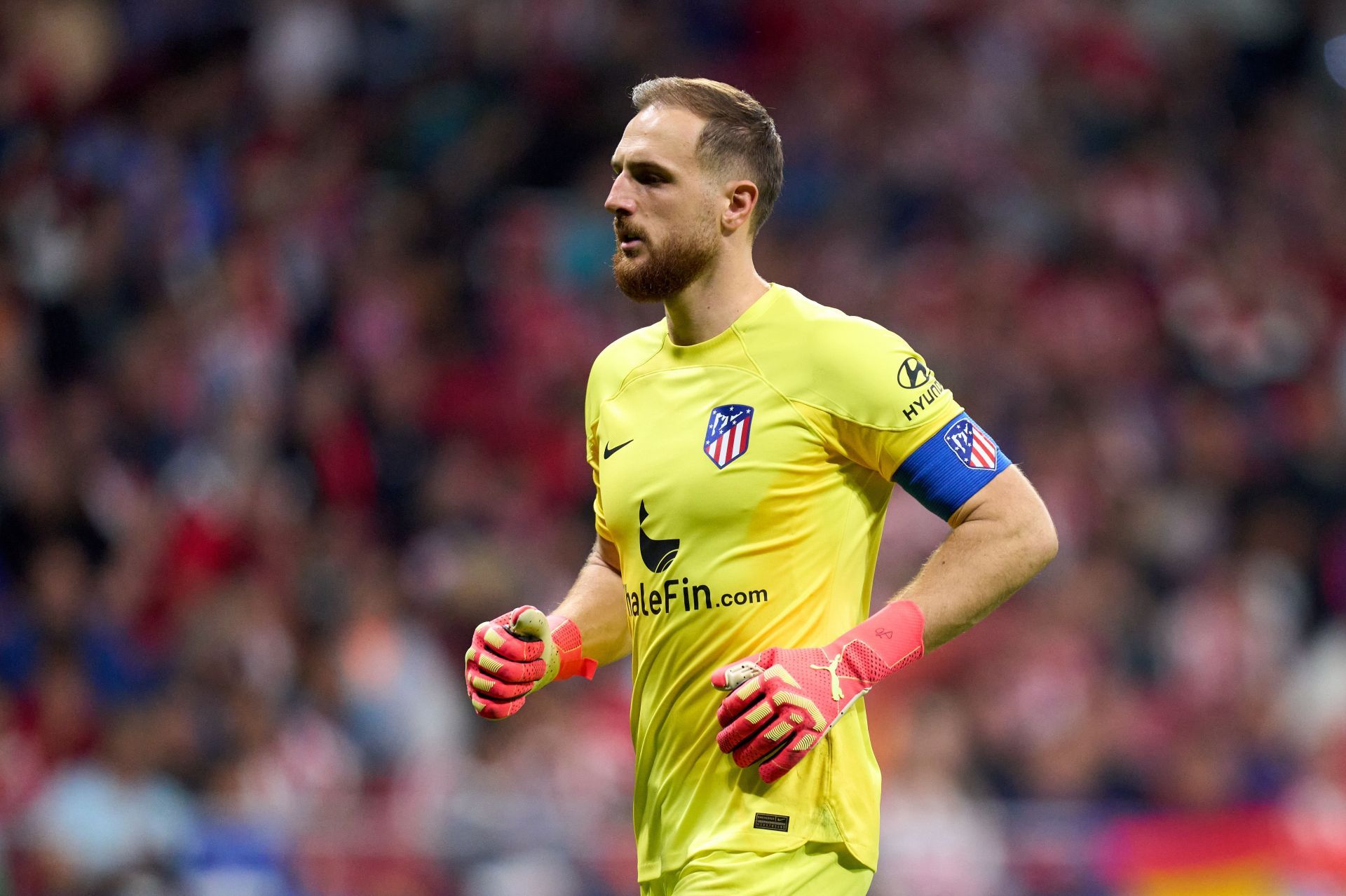 Jan Oblak is wanted at Stamford Bridge.