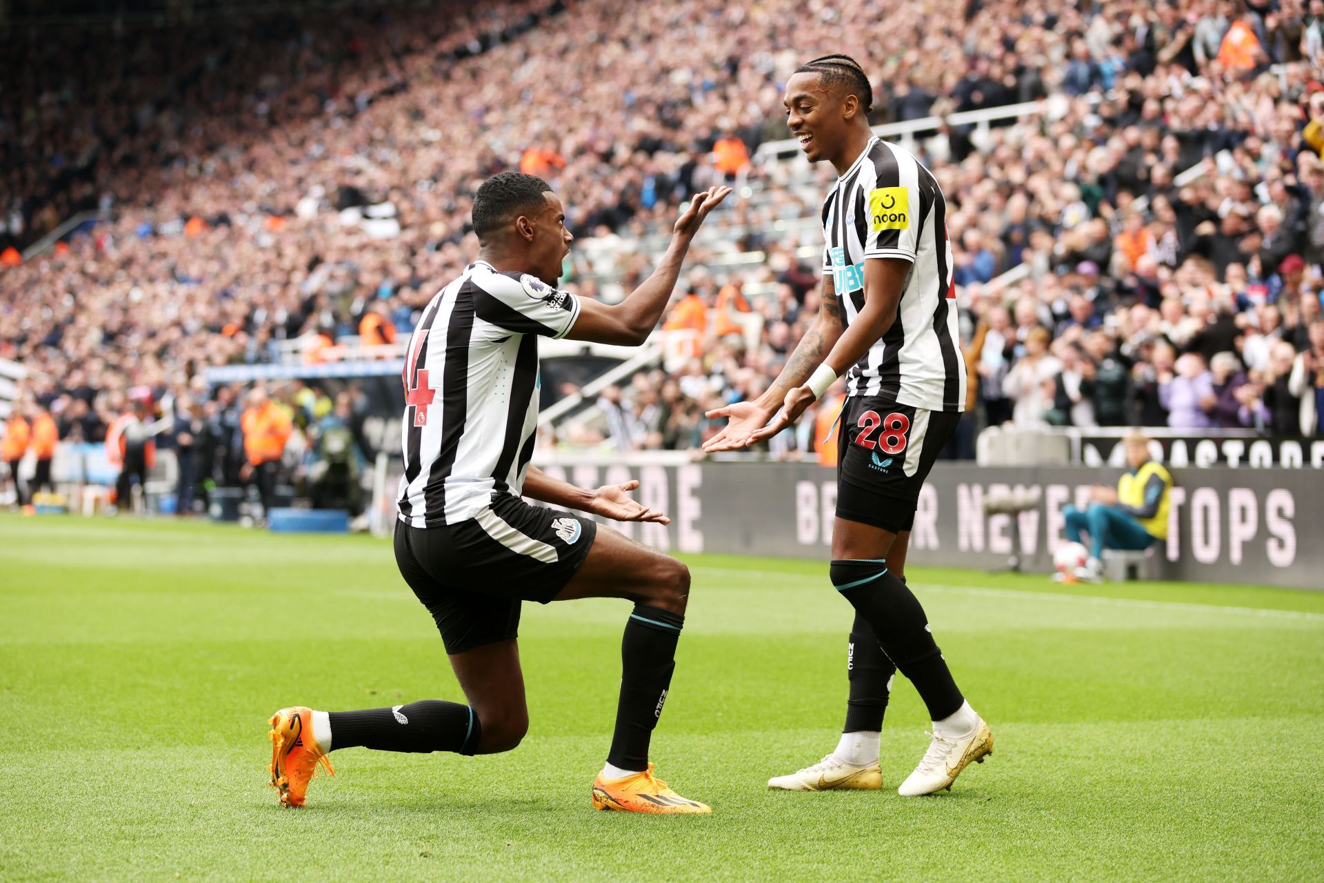 Newcastle United v Tottenham Hotspur - Premier League