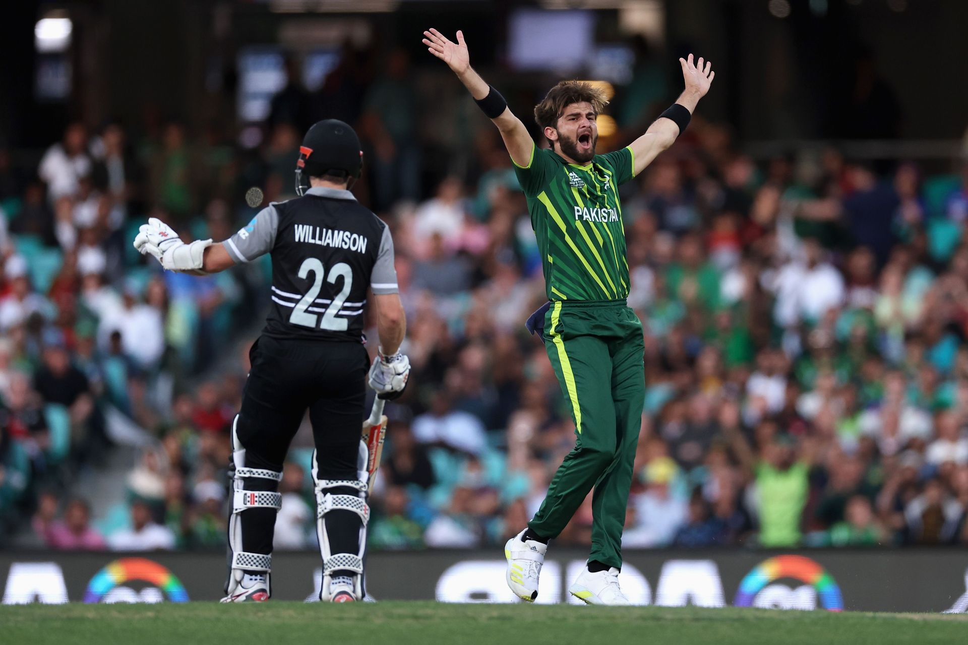 New Zealand v Pakistan - ICC Men