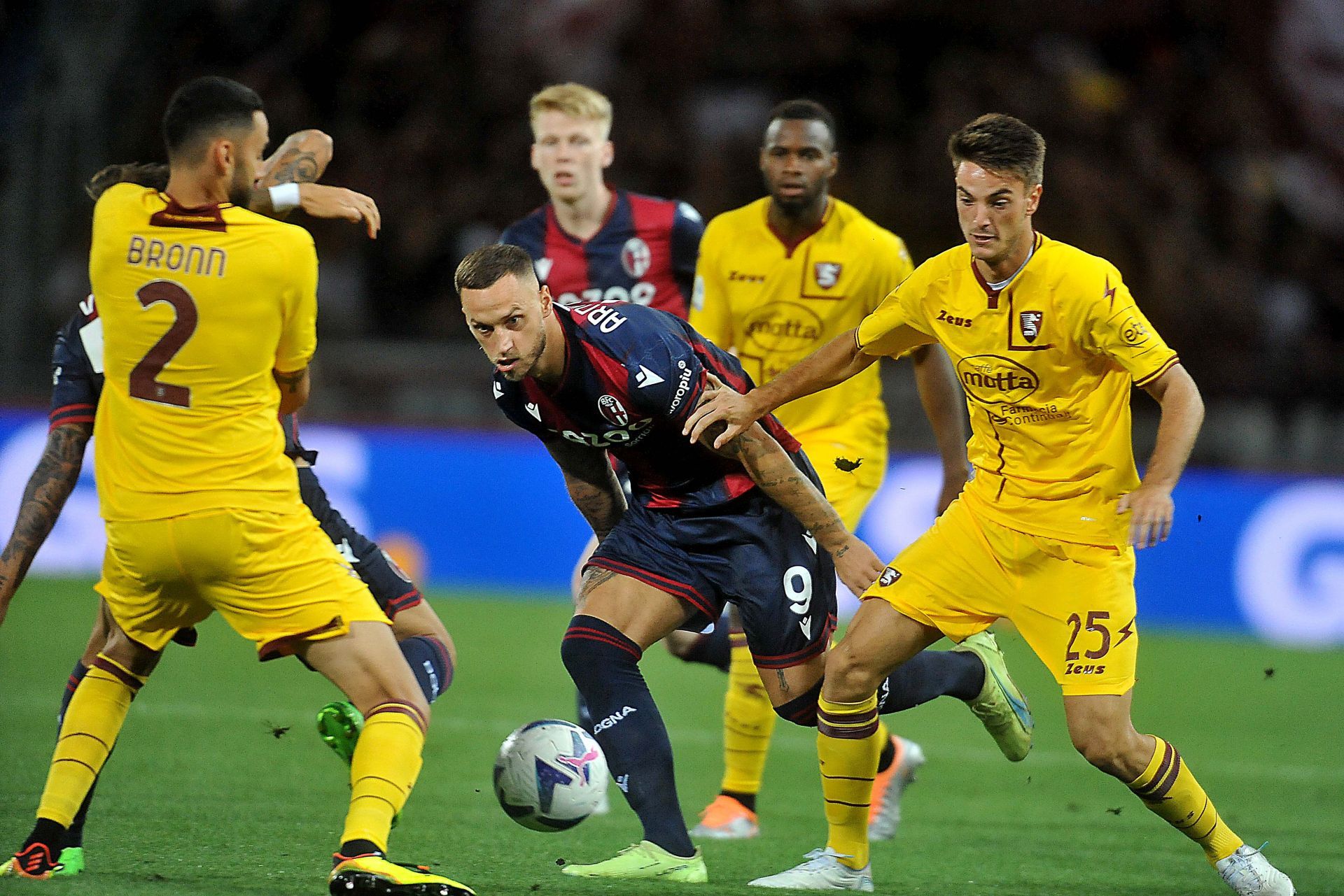 Bologna FC v U.S. Salernitana 1919 - Serie A