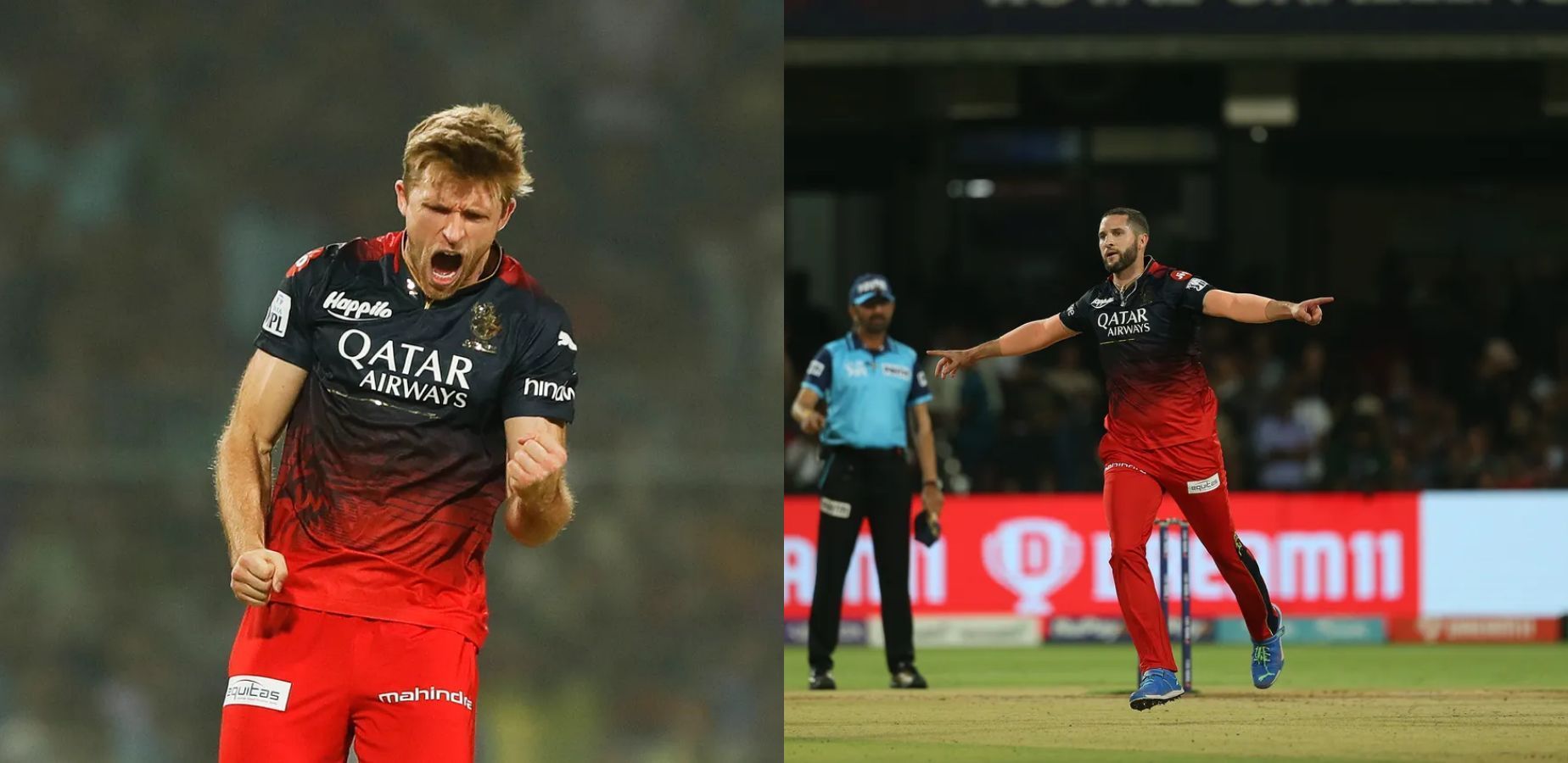 David Willey, Wayne Parnell