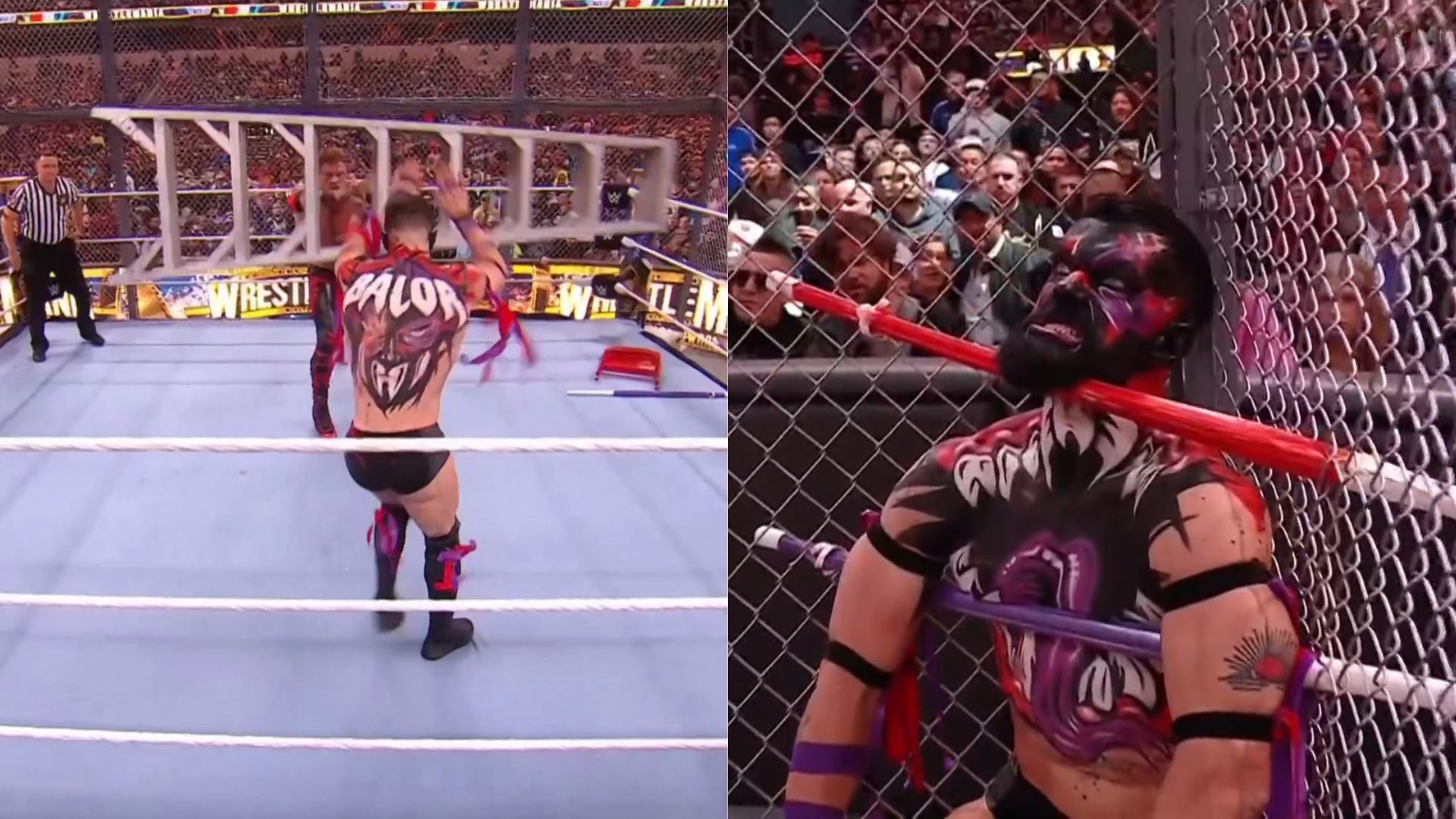 Details on what happened to Finn Balor inside Hell in a Cell at WrestleMania 39