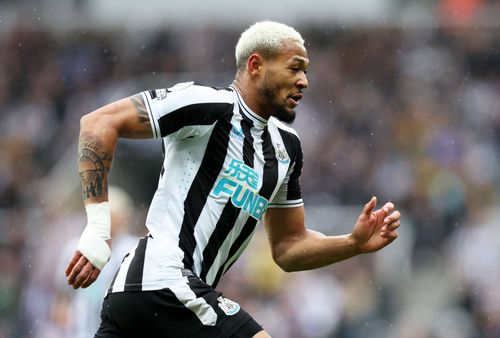 Newcastle United v Tottenham Hotspur - Premier League