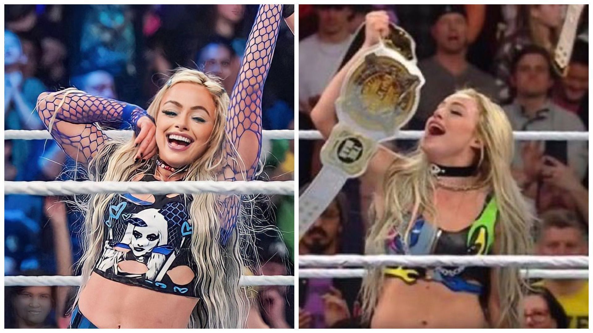 Liv Morgan is the new WWE Tag Team Champion.