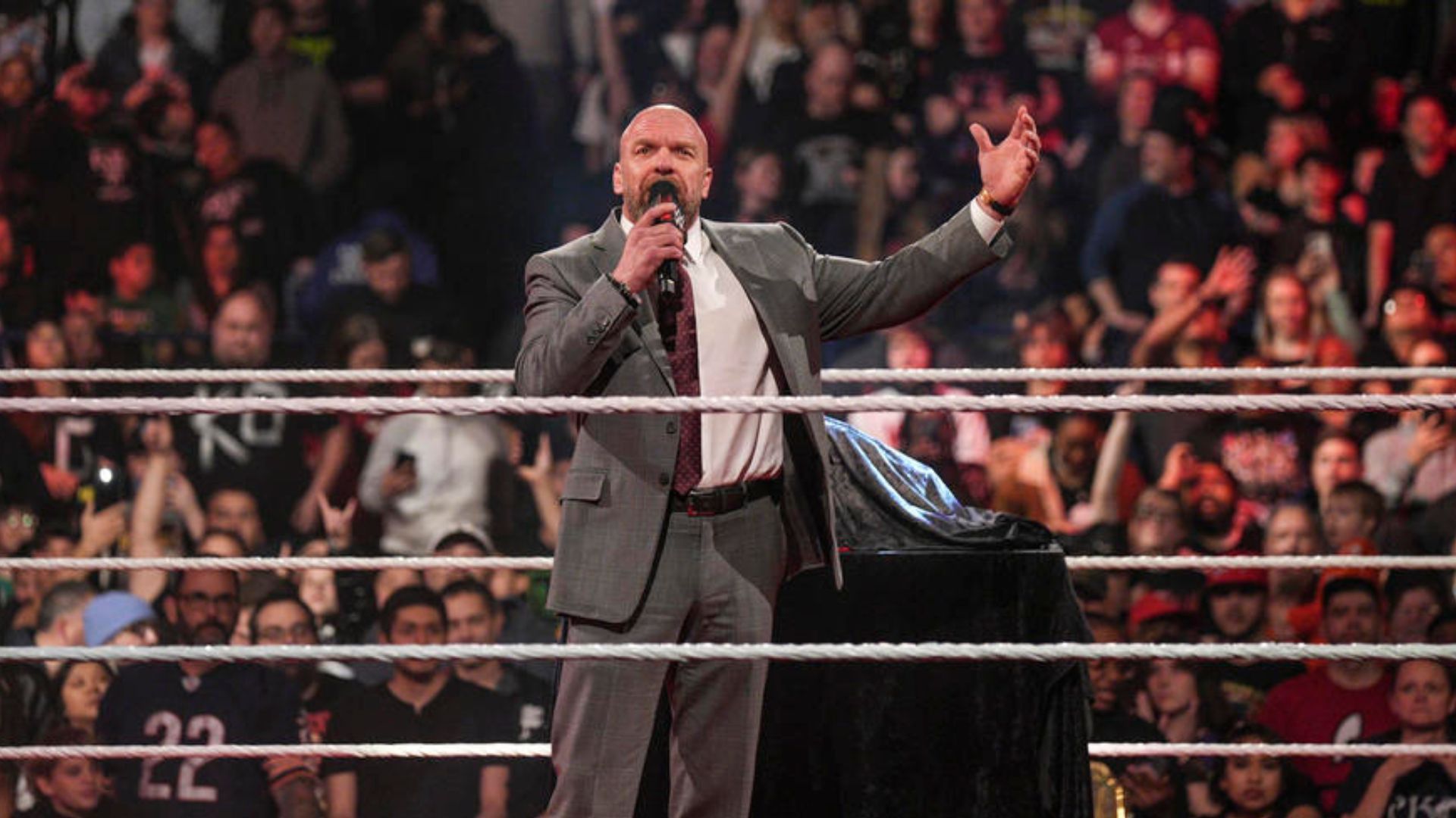 Triple H is the Chief Content Officer of WWE!