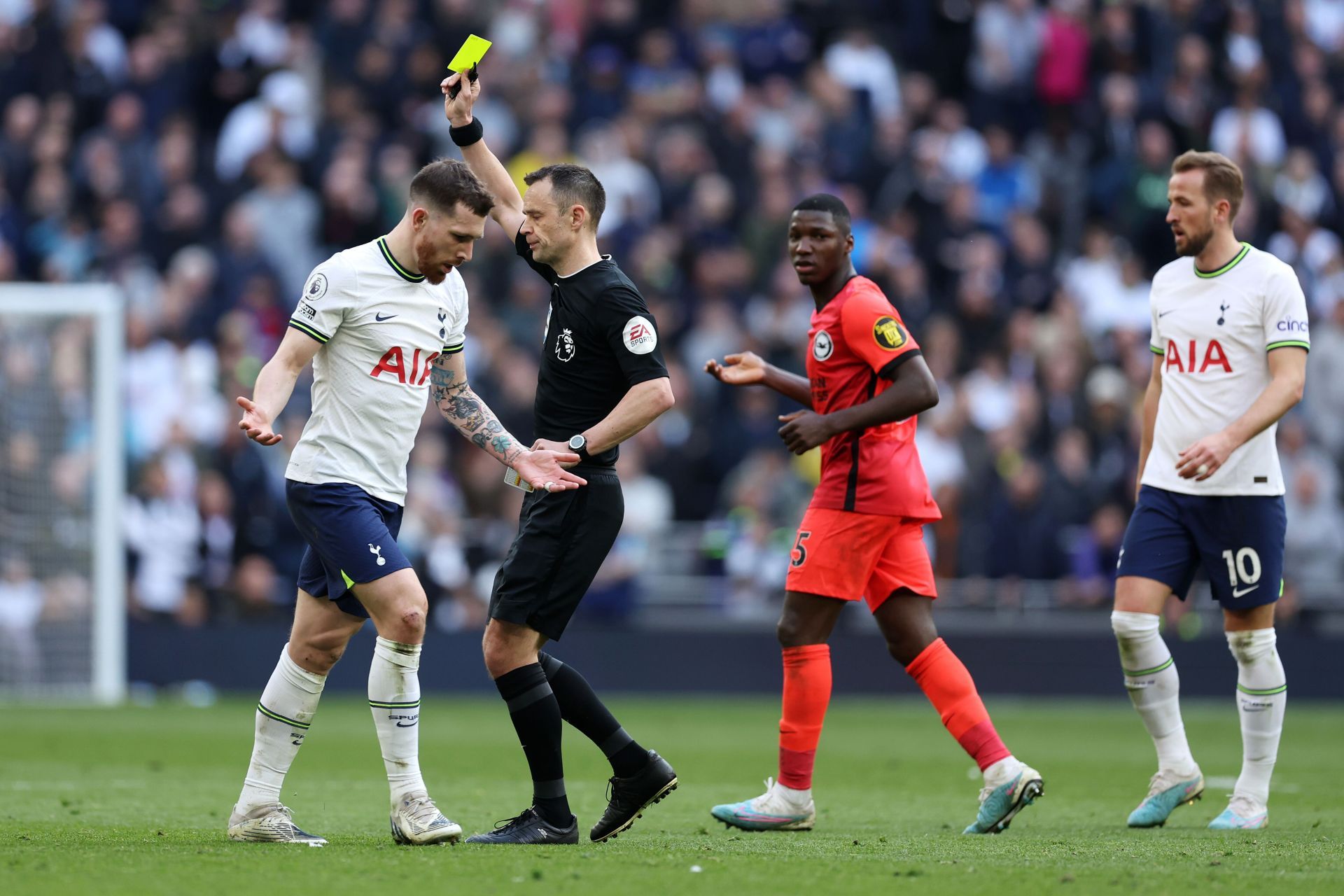 Tottenham Hotspur v Brighton &amp; Hove Albion - Premier League