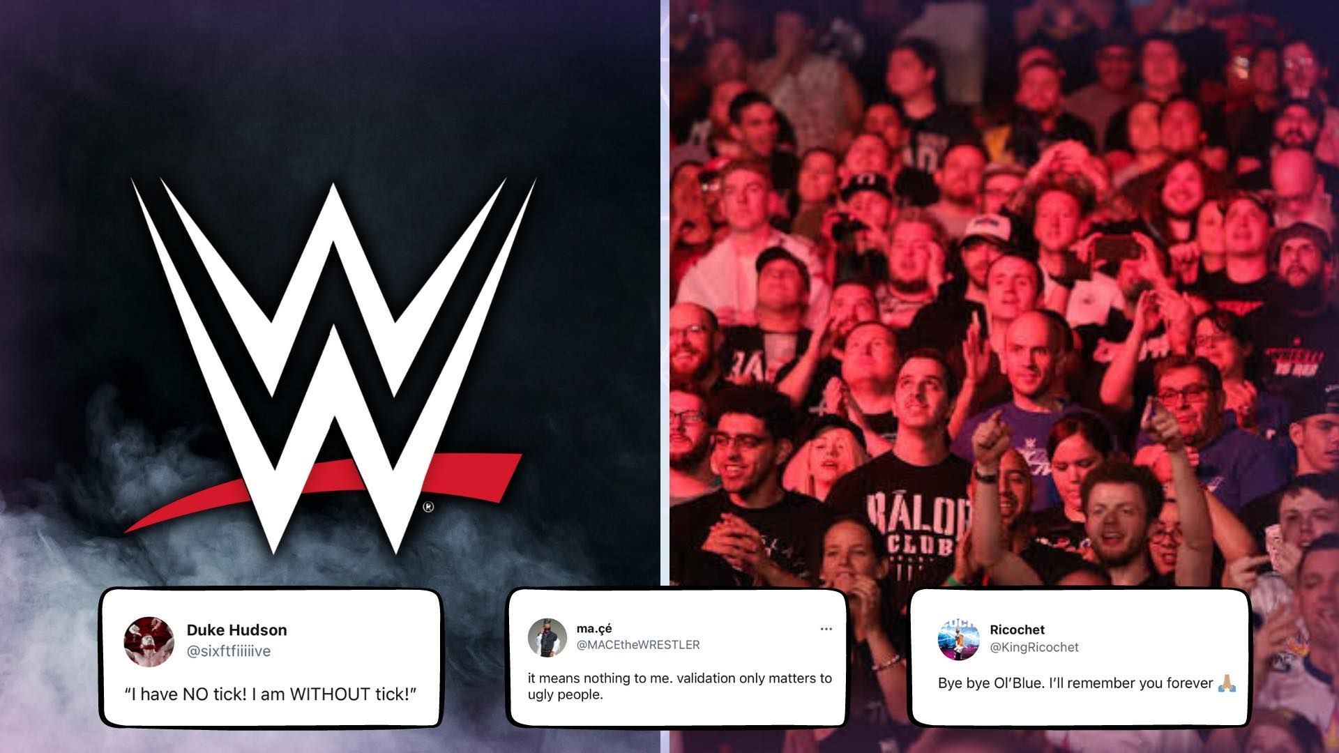 WWE fans and superstars are shocked after the Twitter news.