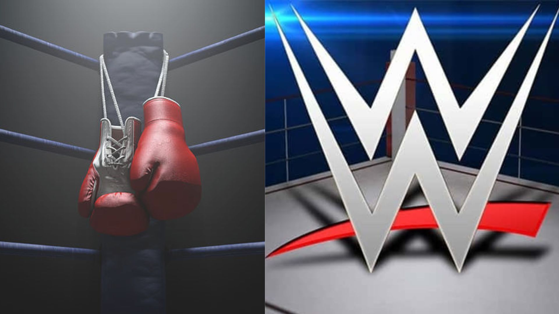 A legendary boxer would like to work with WWE. 