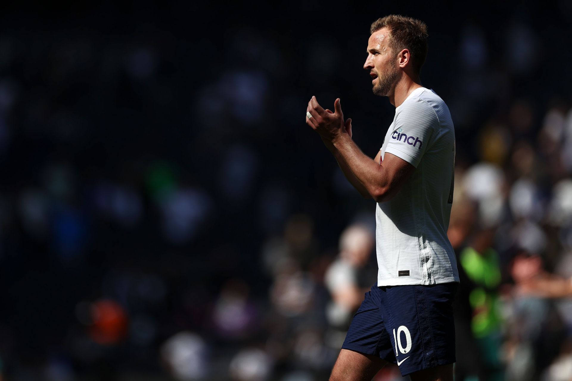 Tottenham Hotspur v Brighton & Hove Albion - Premier League