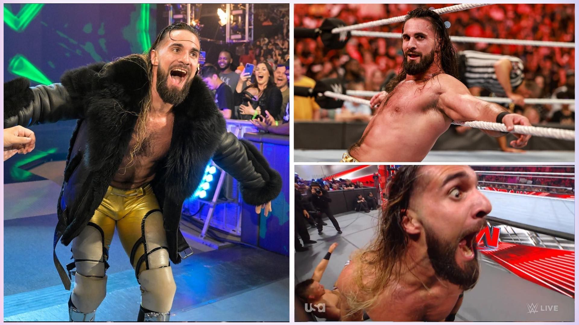 Seth Rollins is a WWE Grand Slam Champion.