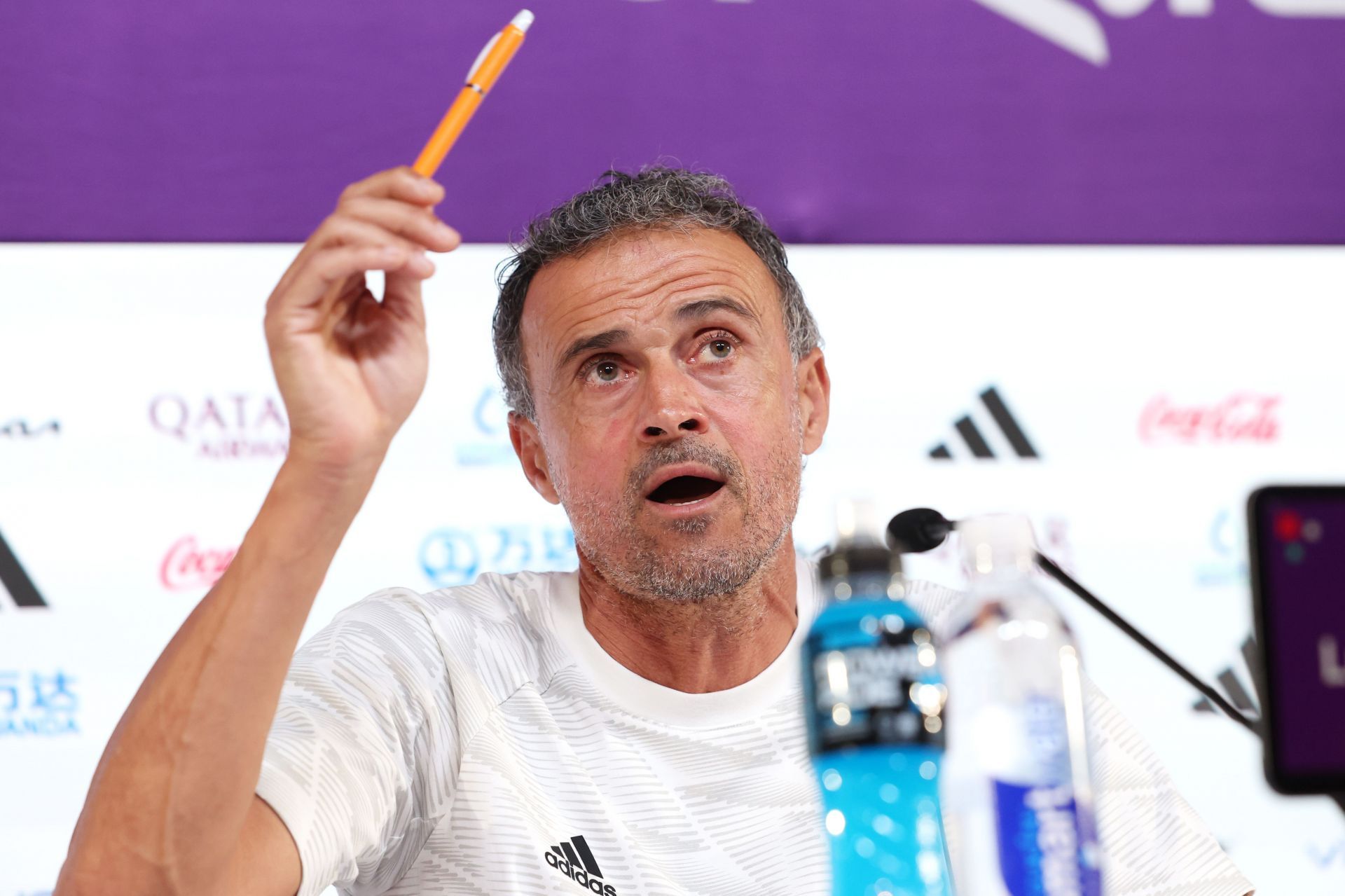 Luis Enrique (in pic) could succeed Potter as the next permanent manager.