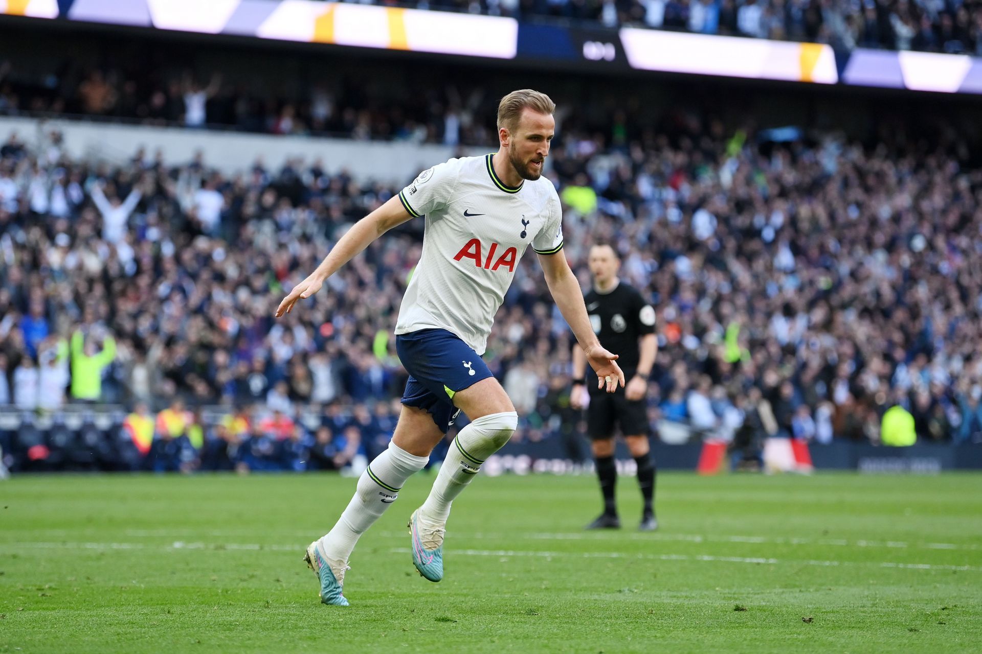 Tottenham Hotspur v Brighton &amp; Hove Albion - Premier League