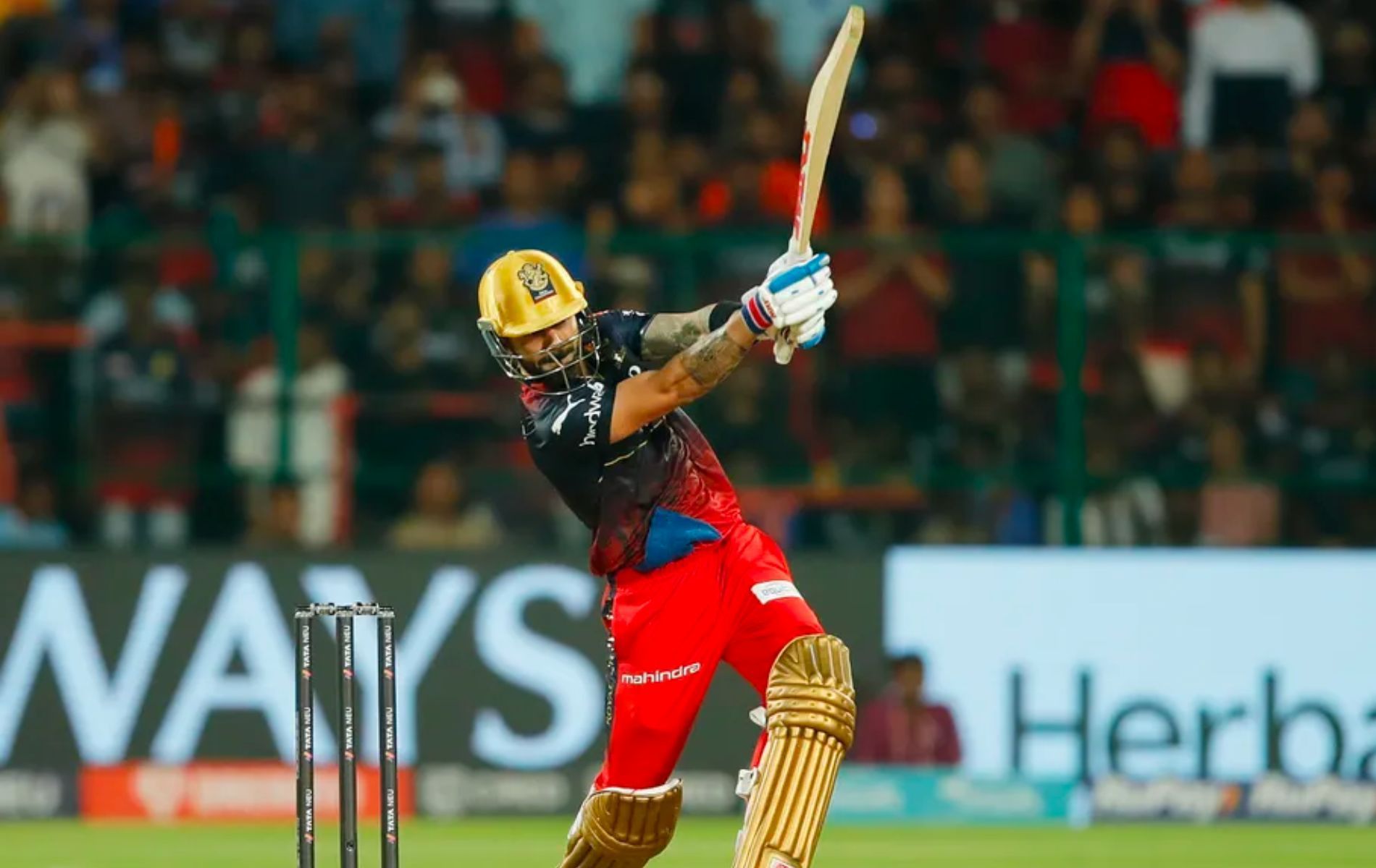 Virat Kohli in action. (Pic: IPLT20.com)