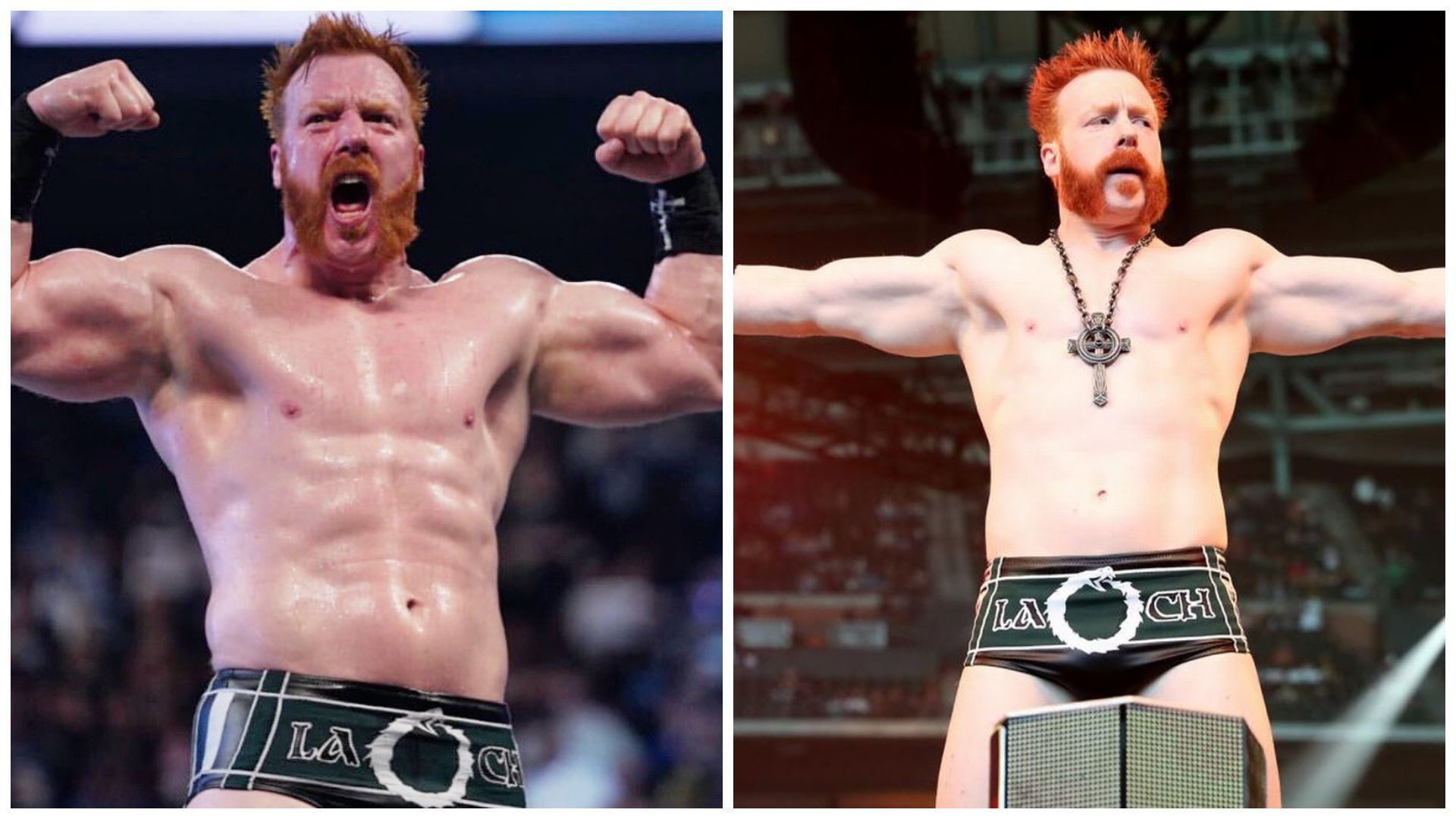 Sheamus is a former WWE Champion.