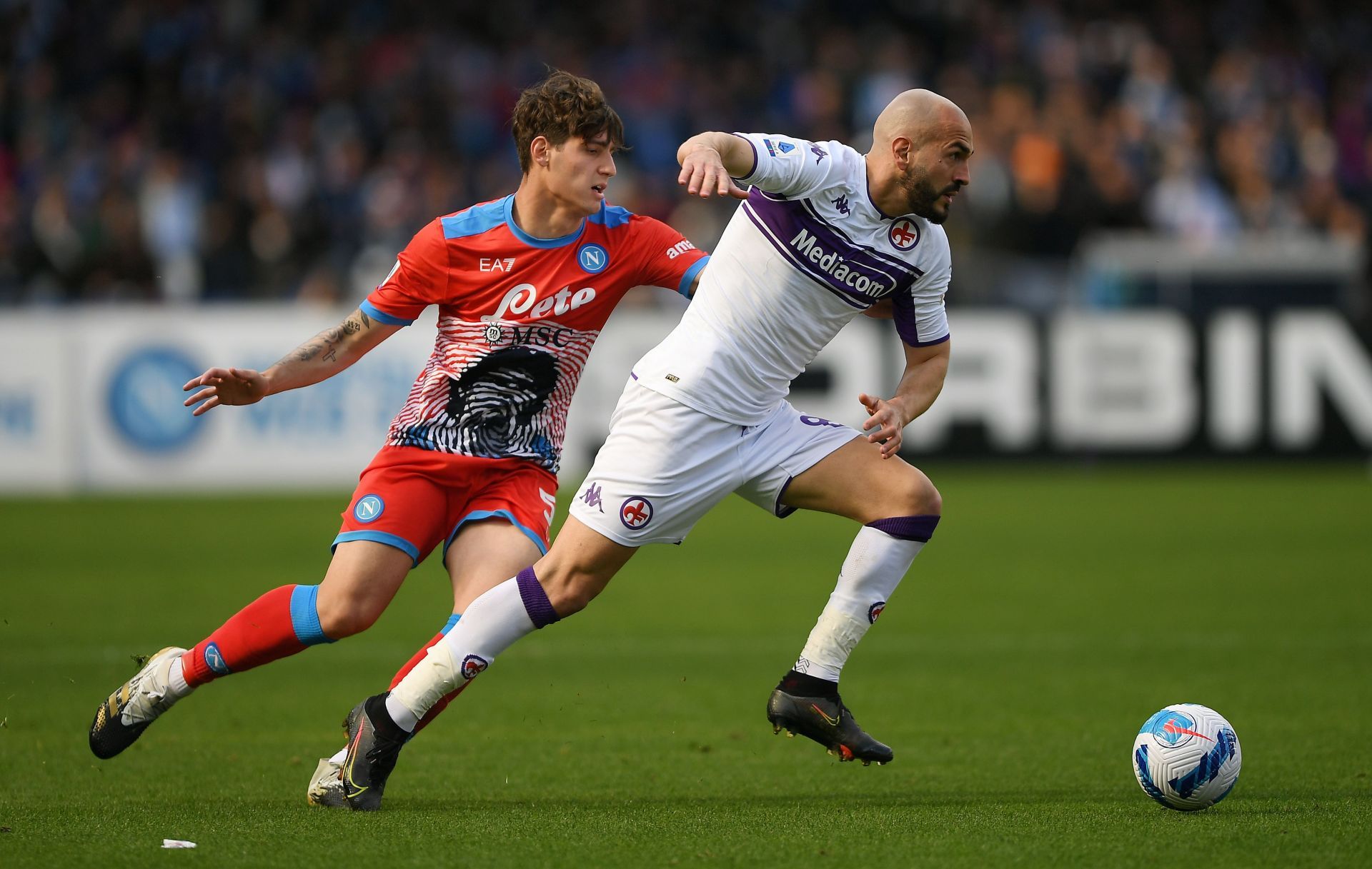 SSC Napoli v ACF Fiorentina - Serie A