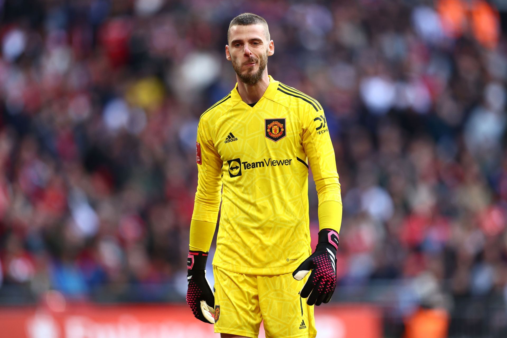 David de Gea’s future isn’t decided yet.