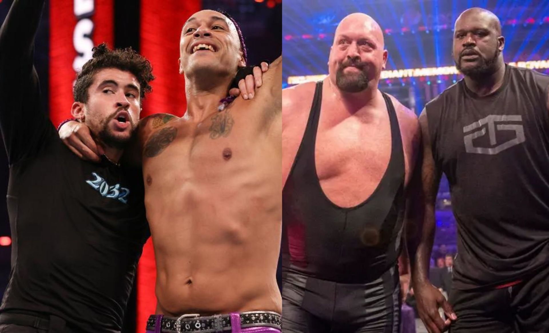 WWE में कुछ सेलिब्रिटी स्टार्स ने शानदार काम किया है 