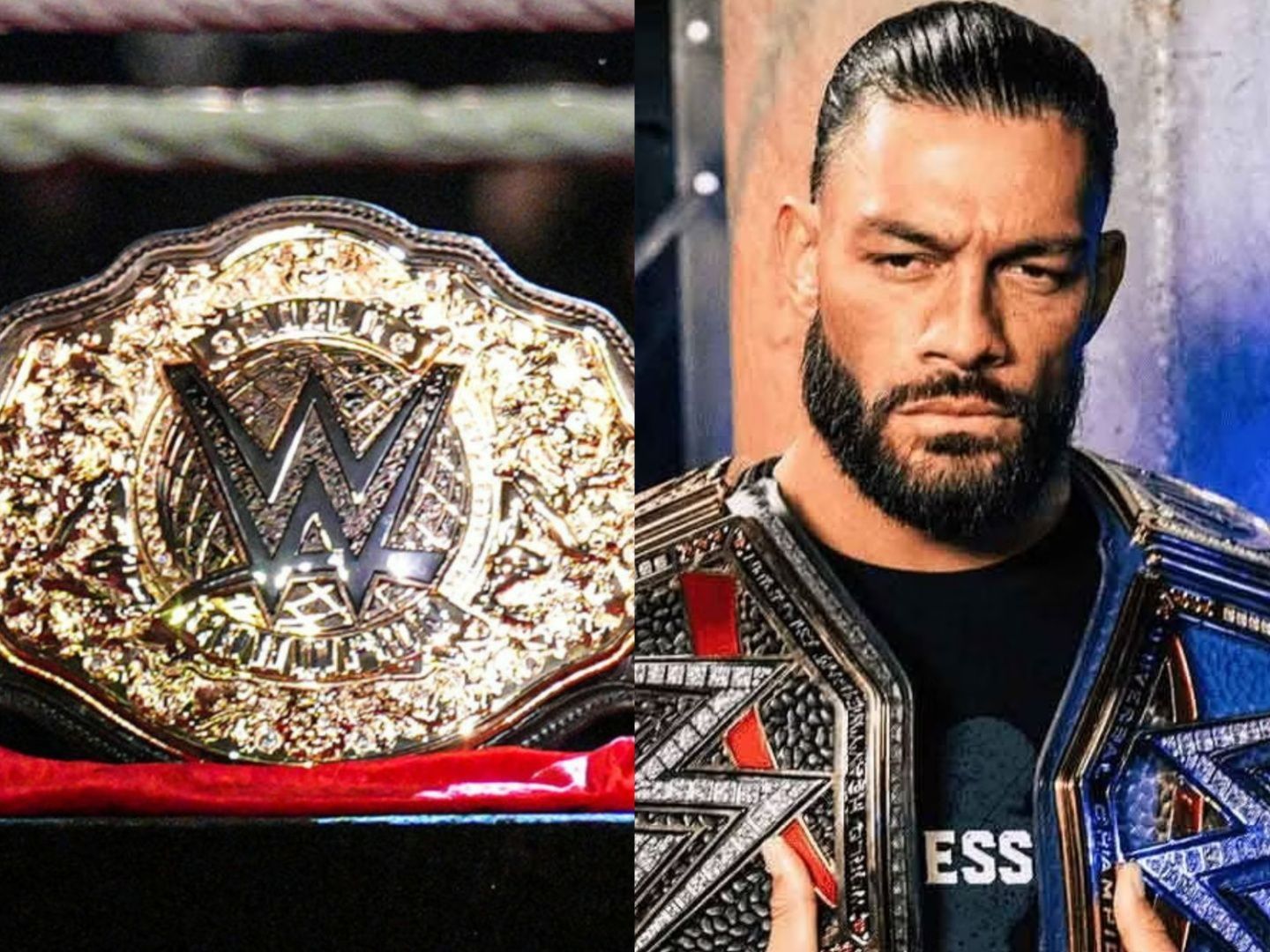 The World Heavyweight Championship and the Undisputed WWE Universal Champion Roman Reigns.