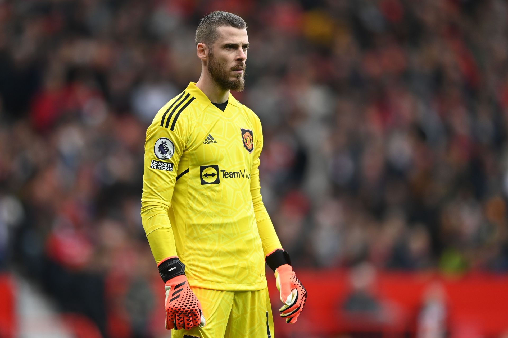 Manchester United veteran David de Gea has been a great servant to the club