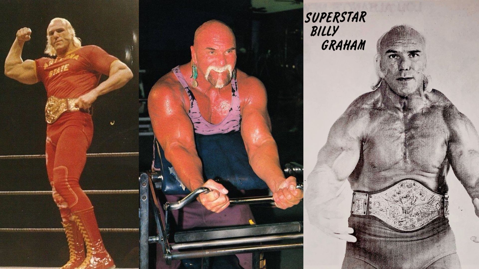 Who was Billy Graham? Taking a look at the WWE legend's wrestling