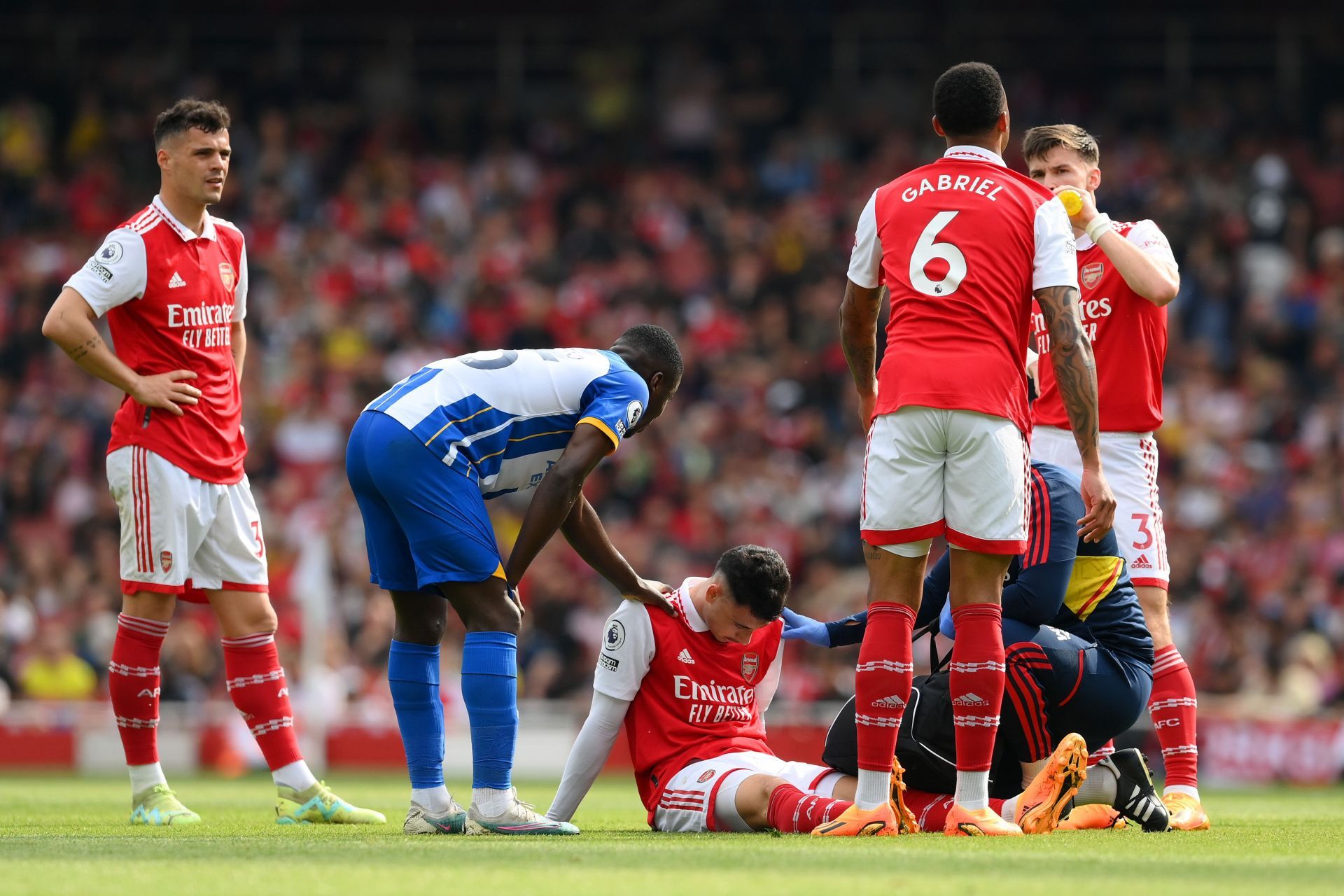 Arsenal FC v Brighton &amp; Hove Albion - Premier League