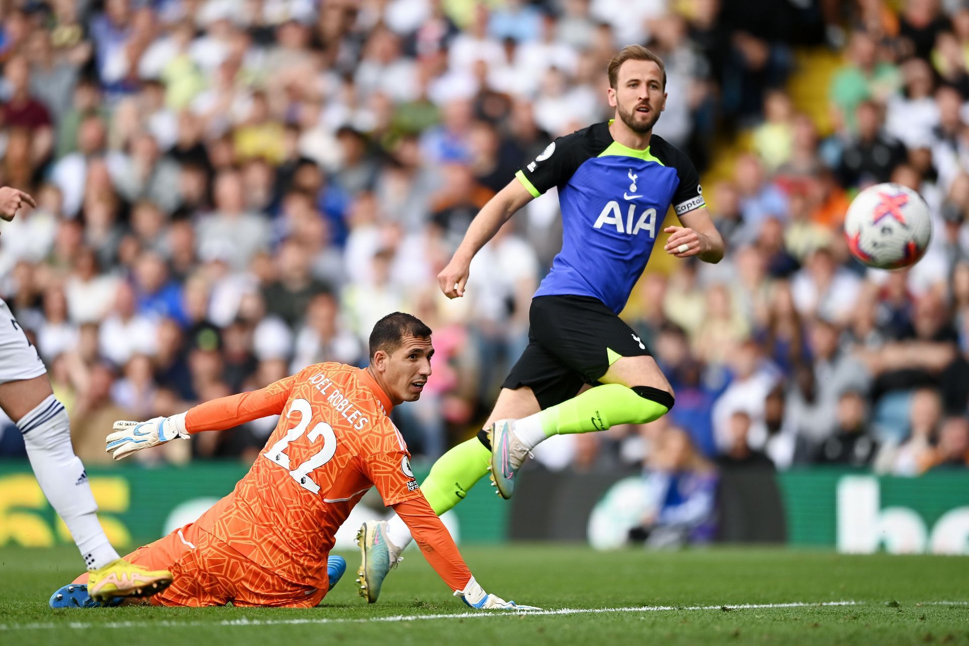 Tottenham's only bright spark in a tumultuous campaign