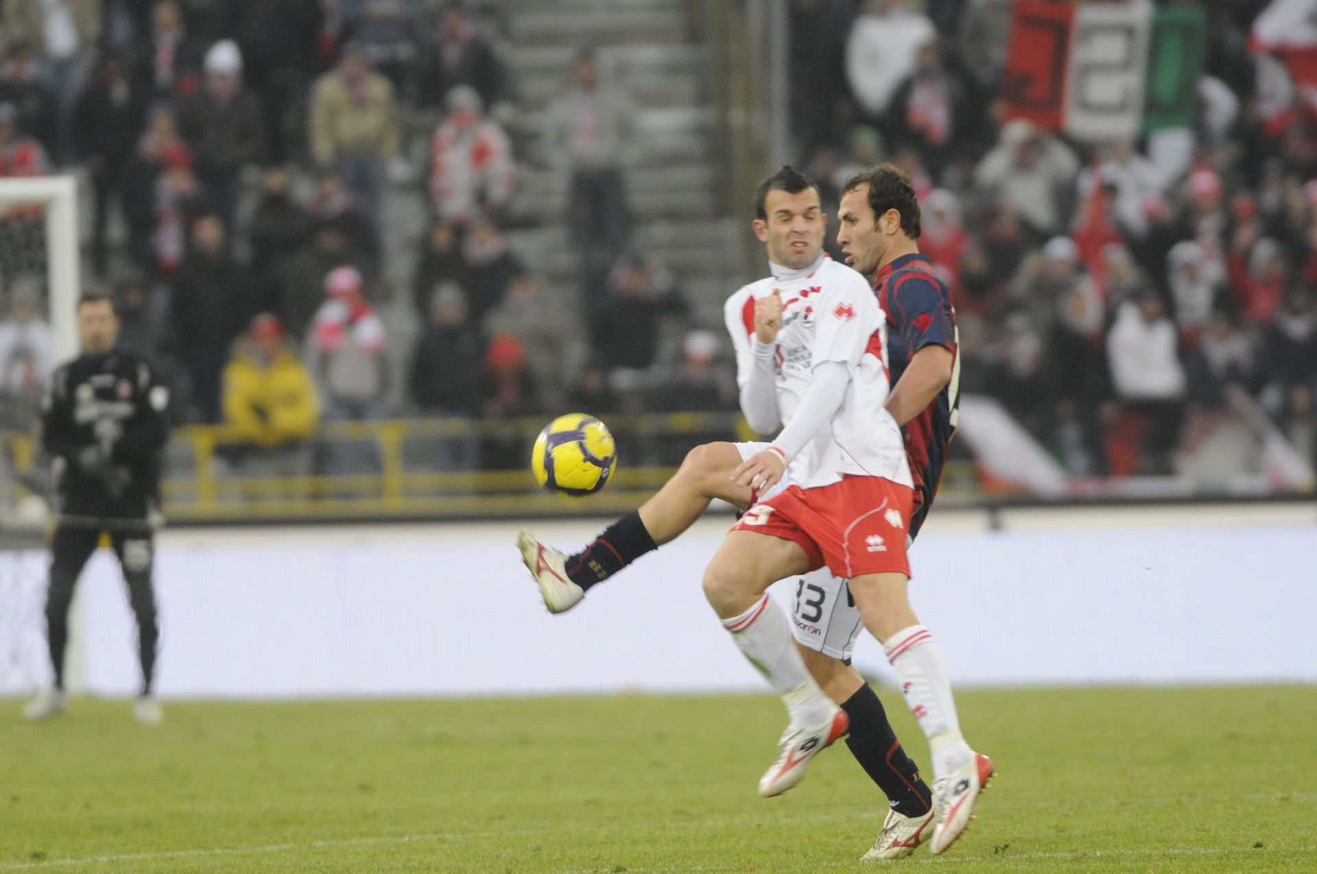 Bologna FC v AS Bari - Serie A