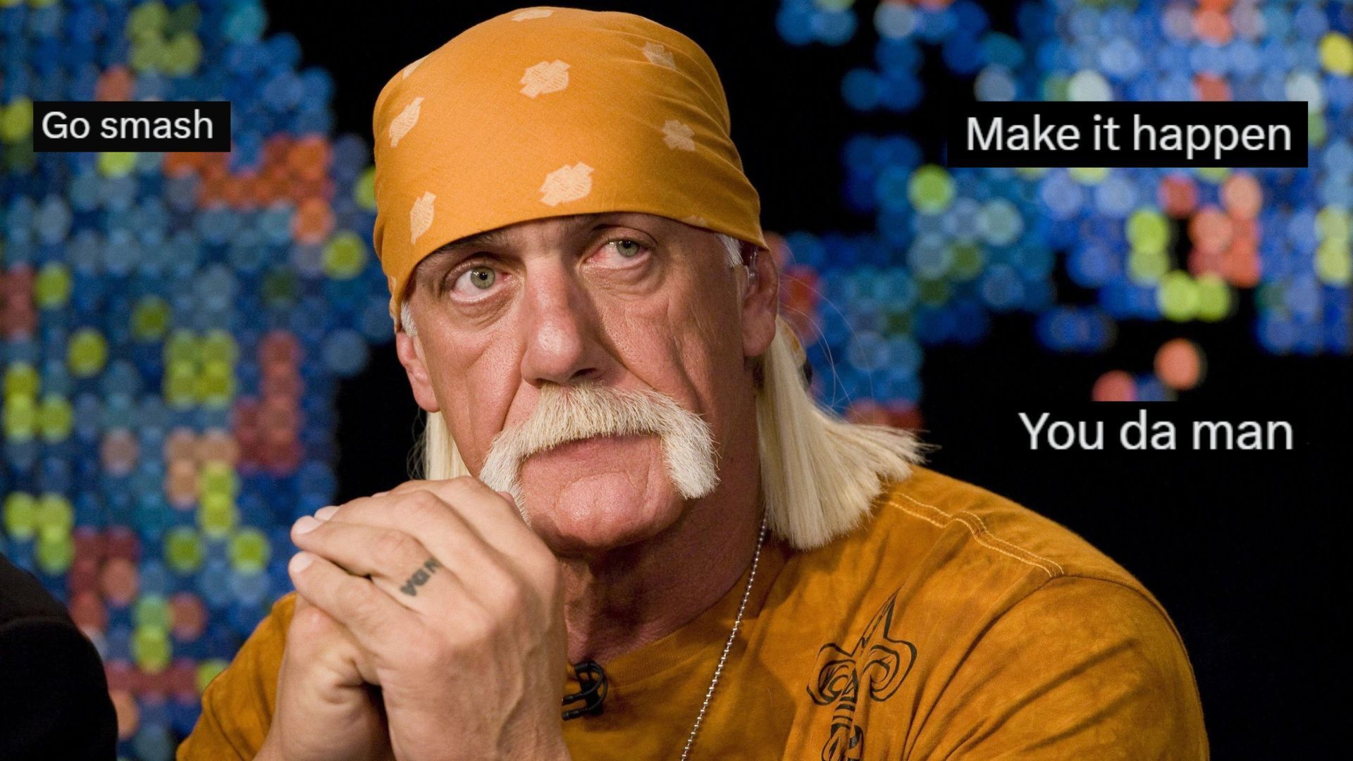 Hulk Hogan is a WWE Hall of Famer!