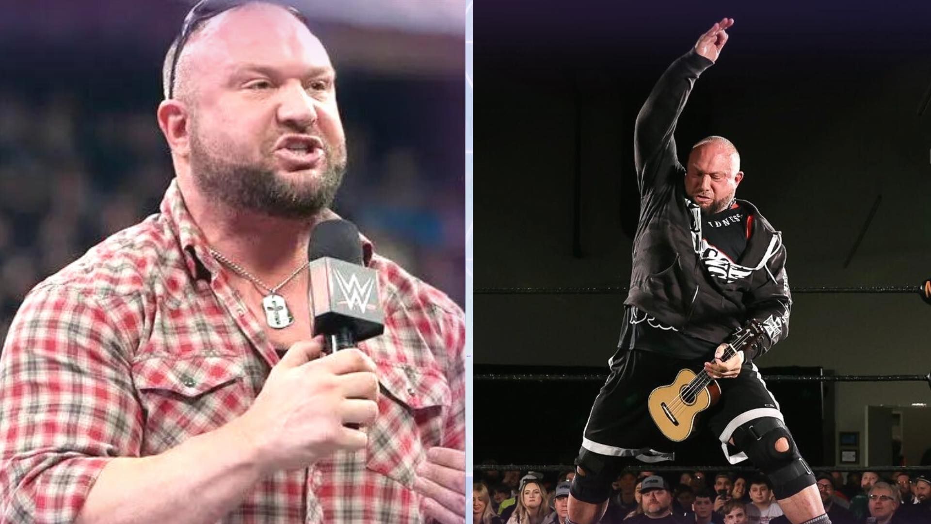 Bubba Ray Dudley is a WWE Hall of Famer.