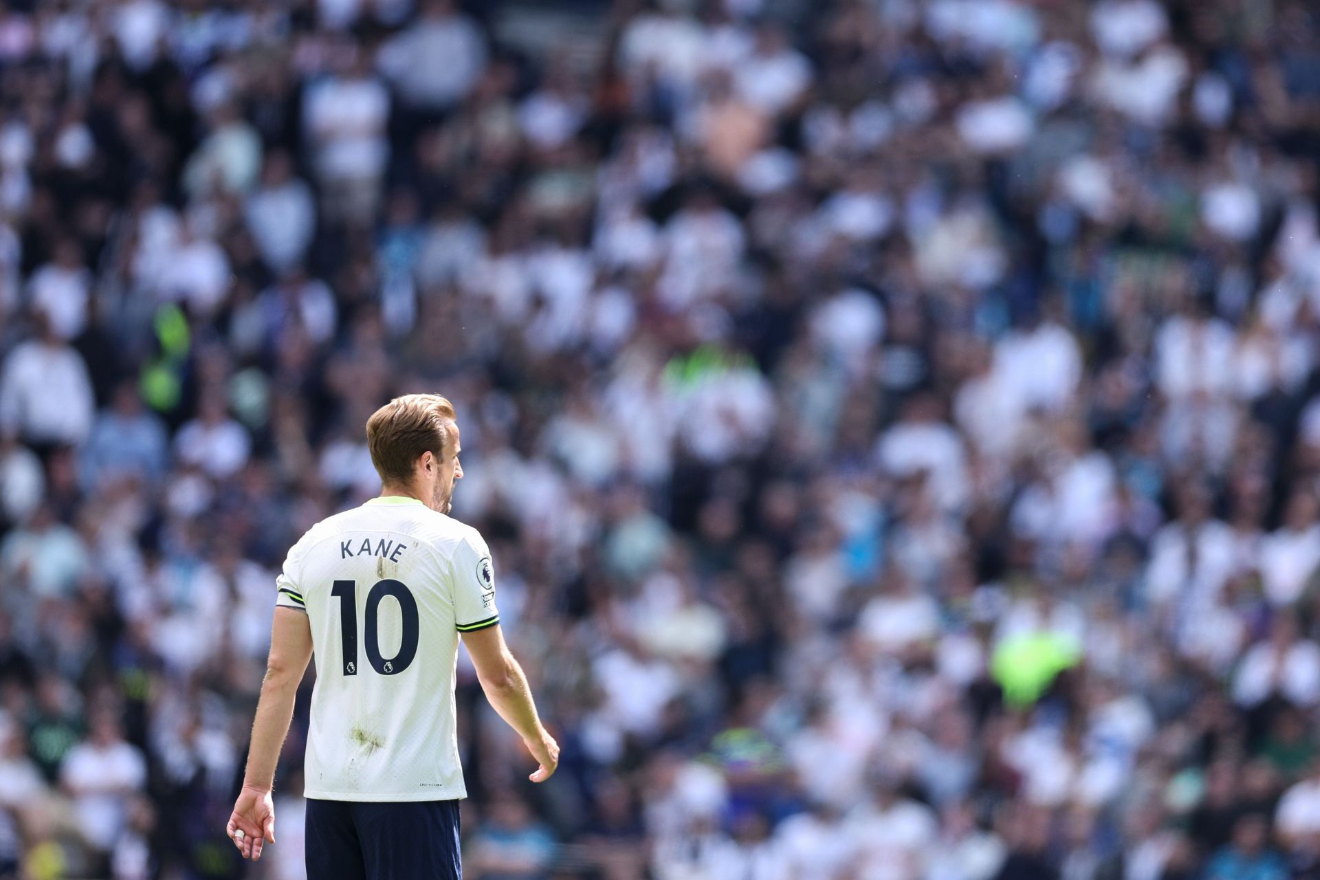 Tottenham Hotspur v Brentford FC - Premier League