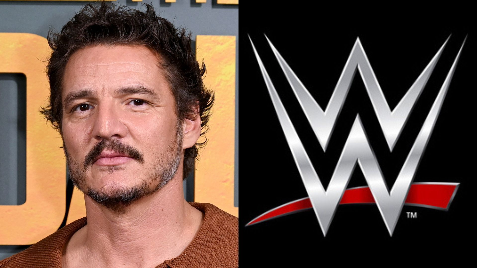 Pedro Pascal sported an interesting outfit at the Met Gala. 