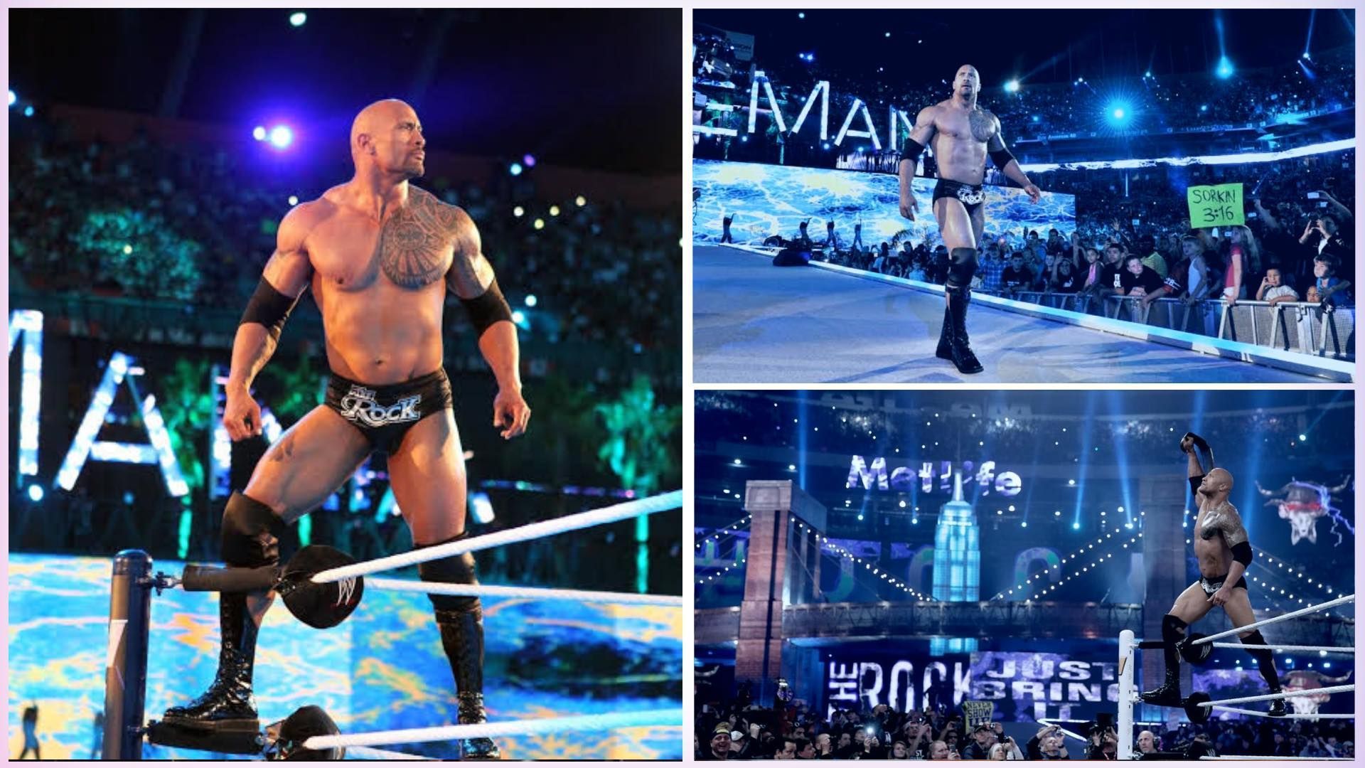 The Rock is a former WWE World Champion.