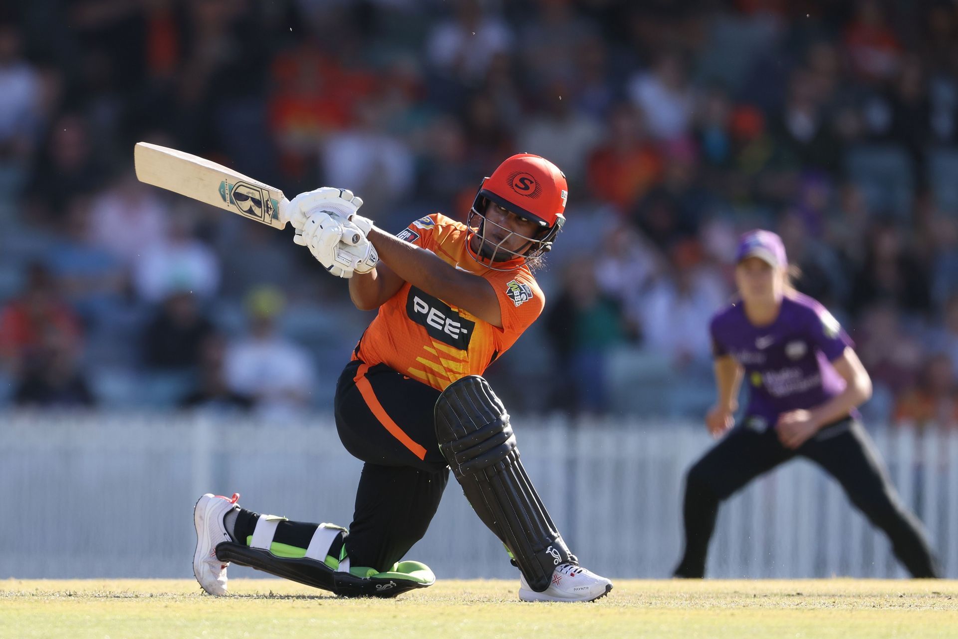 WBBL - Scorchers v Hurricanes