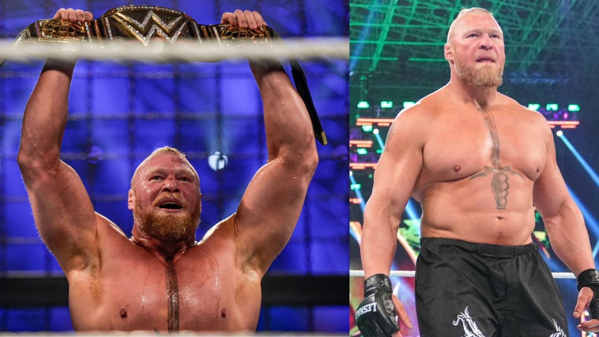 Brock Lesnar has refused to work with WWE Superstars before such as Matt Riddle and Shane McMahon