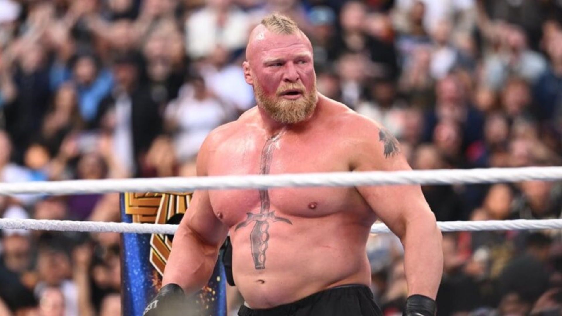 Brock Lesnar rarely fails to strike fear in his opponents.