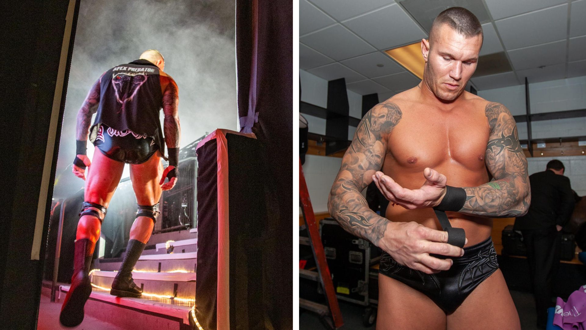 Details regarding Randy Orton