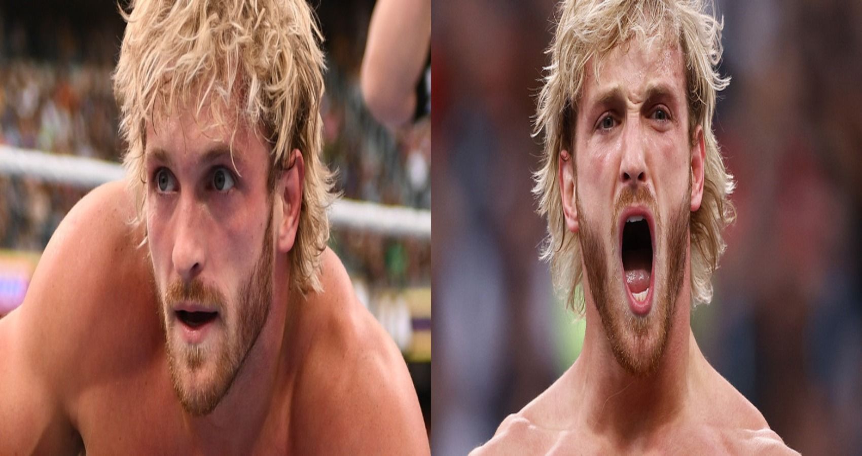 Which legendary wrestler could cost Logan Paul the contract?