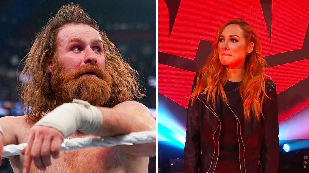 Sami Zayn (left); Becky Lynch (right)