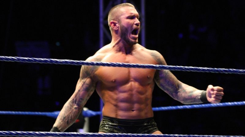 randy orton return update