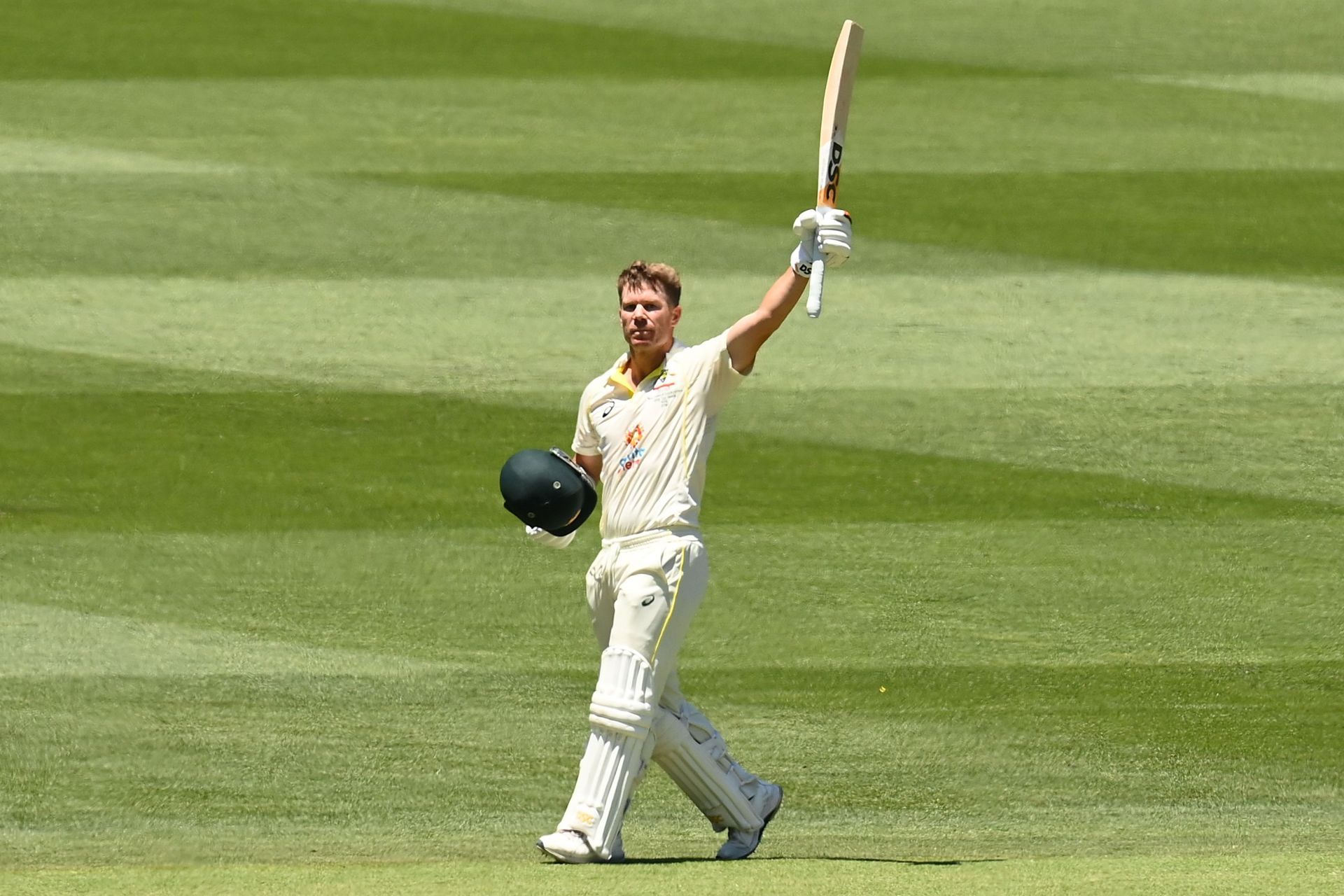 David Warner