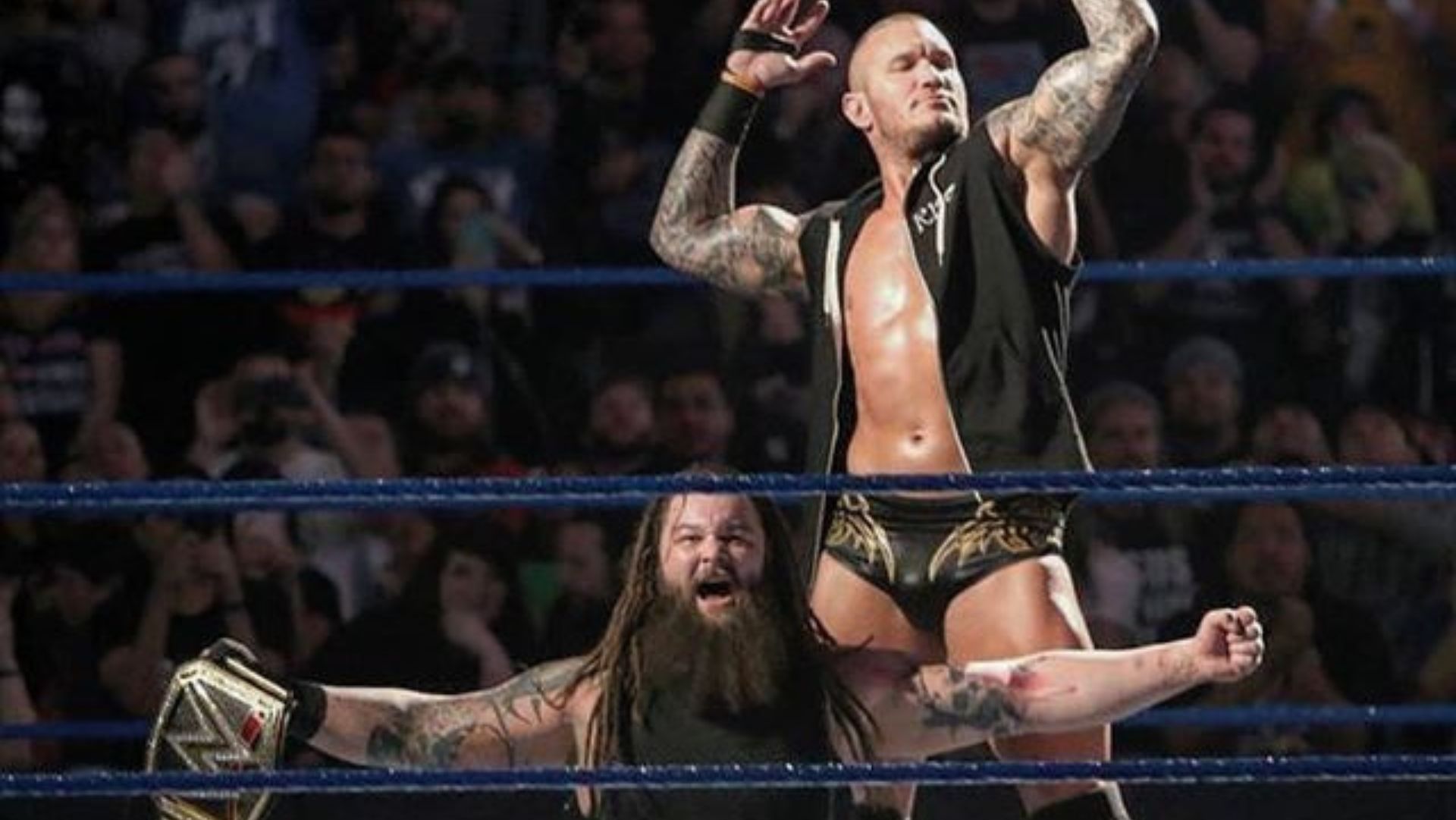 Randy Orton and Bray Wyatt won the tag team titles together.