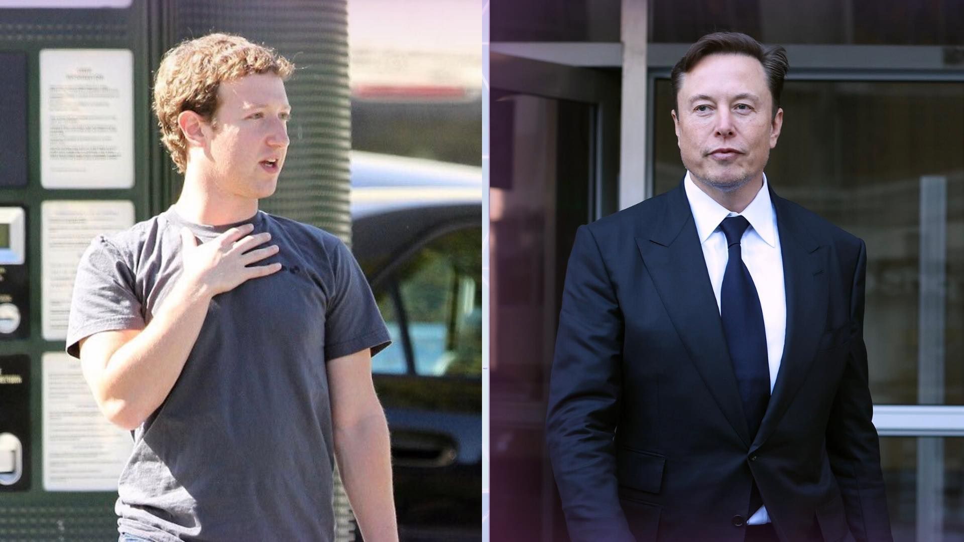 Mark Zuckerberg and Elon Musk