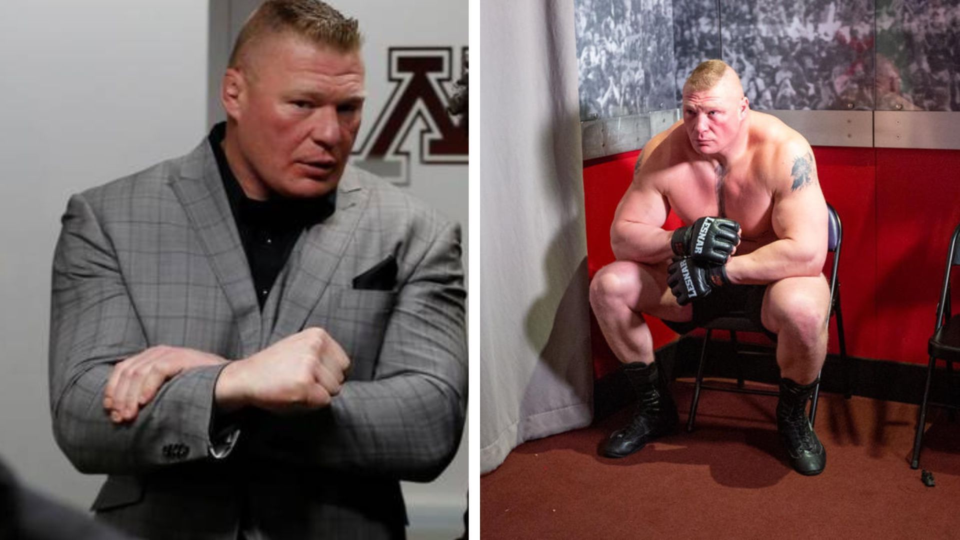 Brock Lesnar may have shared some insights with new WWE star