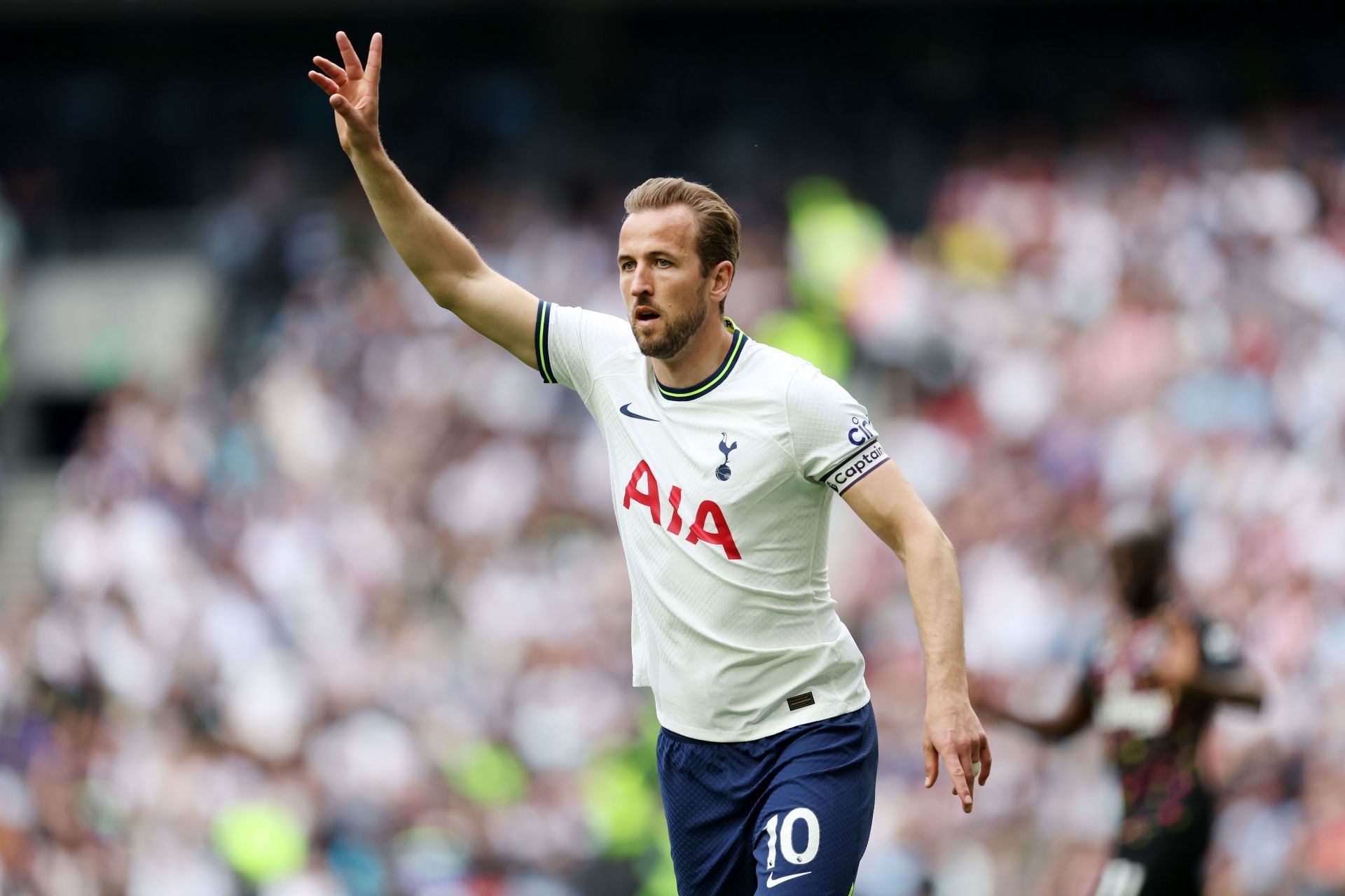 Tottenham Hotspur v Brentford FC - Premier League