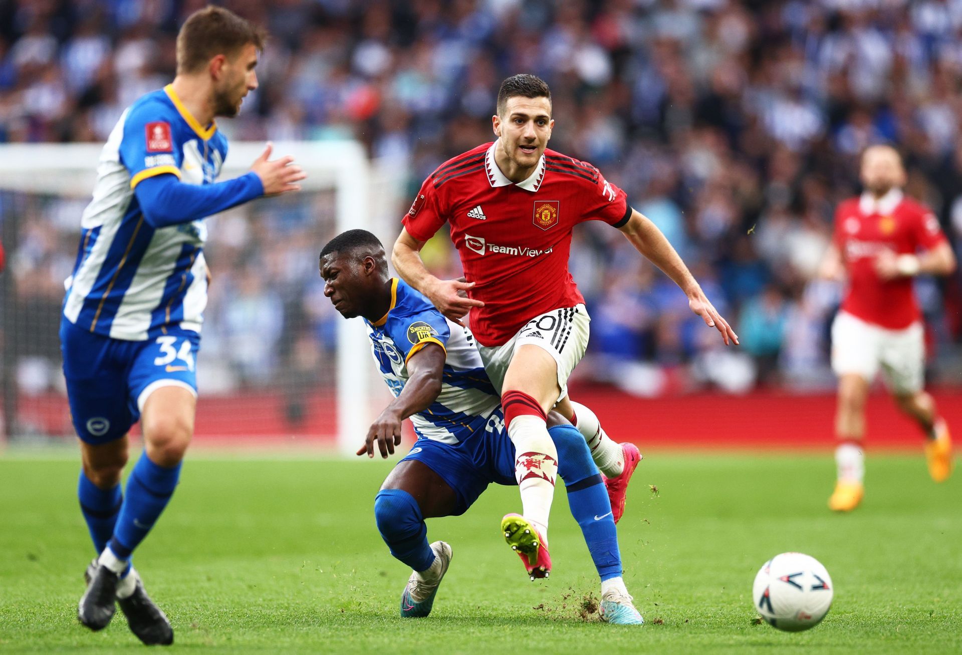 Brighton &amp; Hove Albion v Manchester United: Emirates FA Cup Semi Final