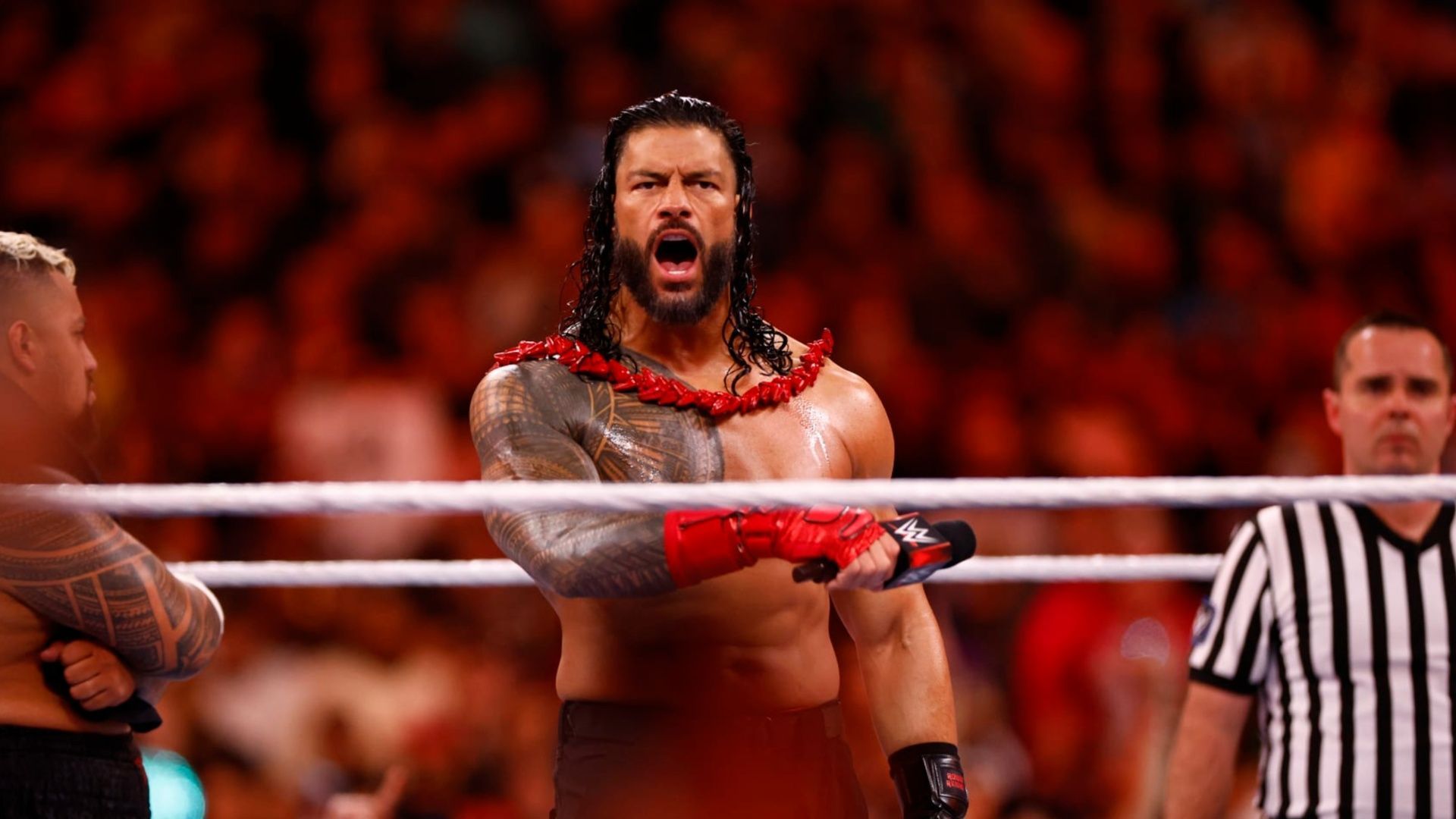 Roman Reigns works the crowd at a WWE event.