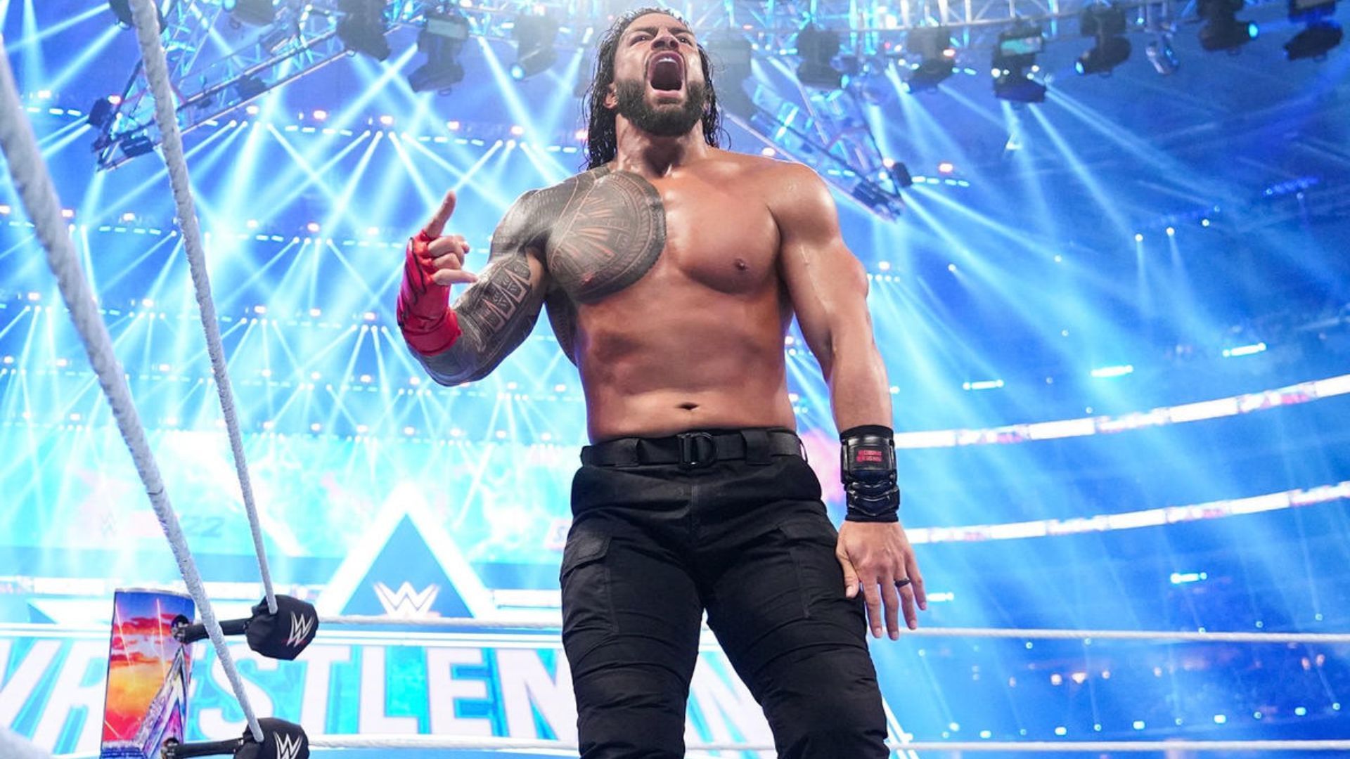 Roman Reigns inside the ring. Image Credits: wwe.com 