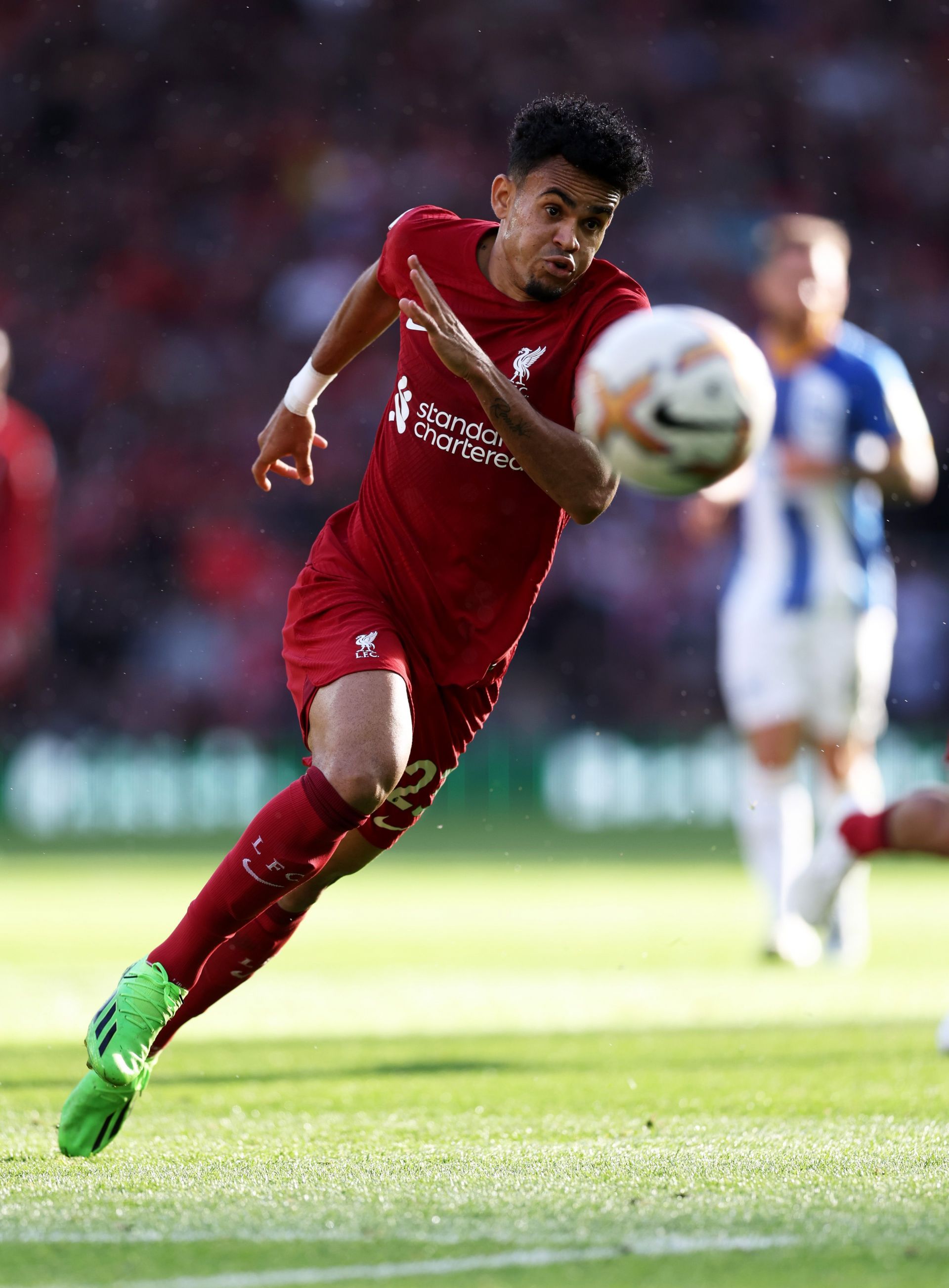 Liverpool FC v Brighton &amp; Hove Albion - Premier League